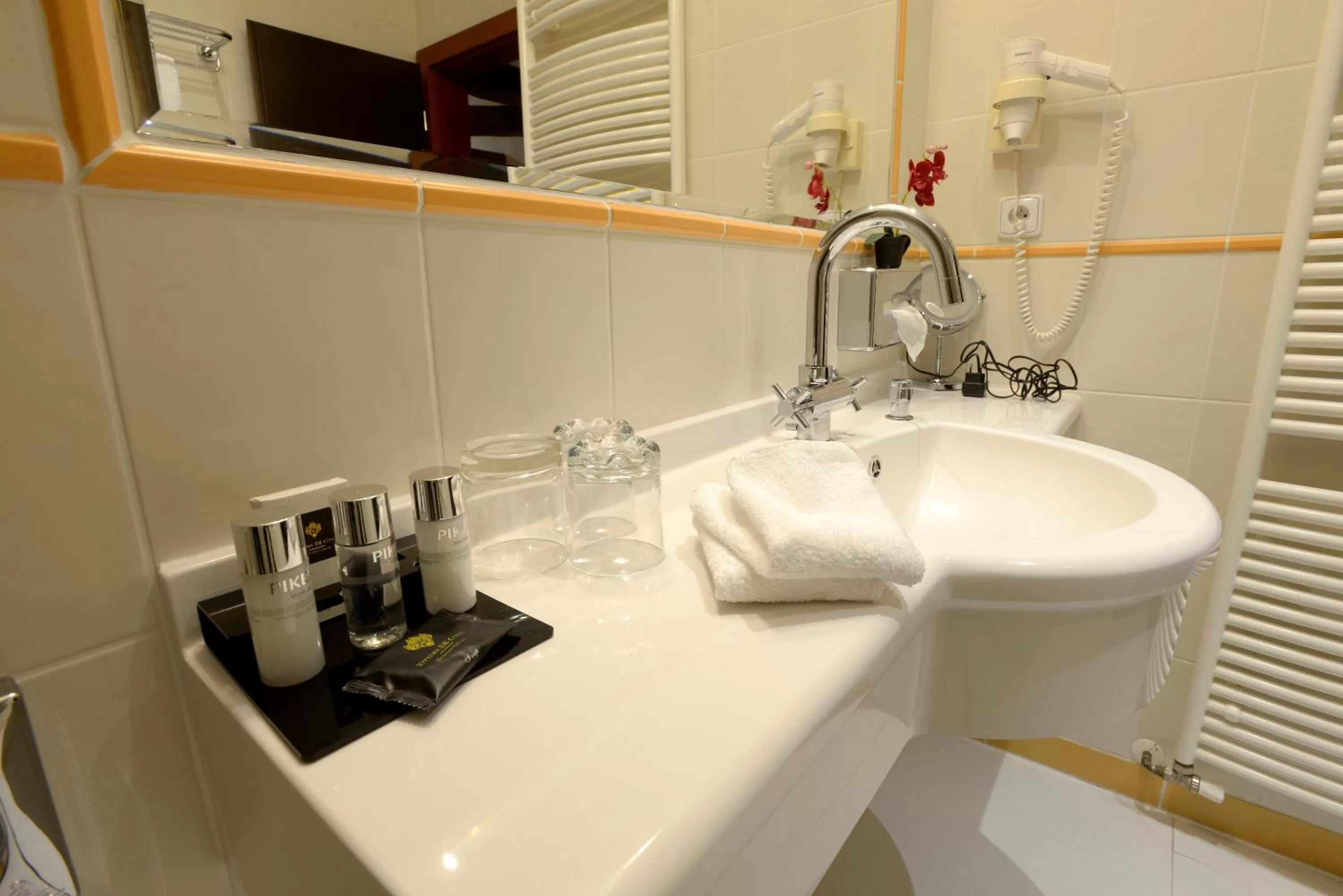 Bathroom in Hotel Grand