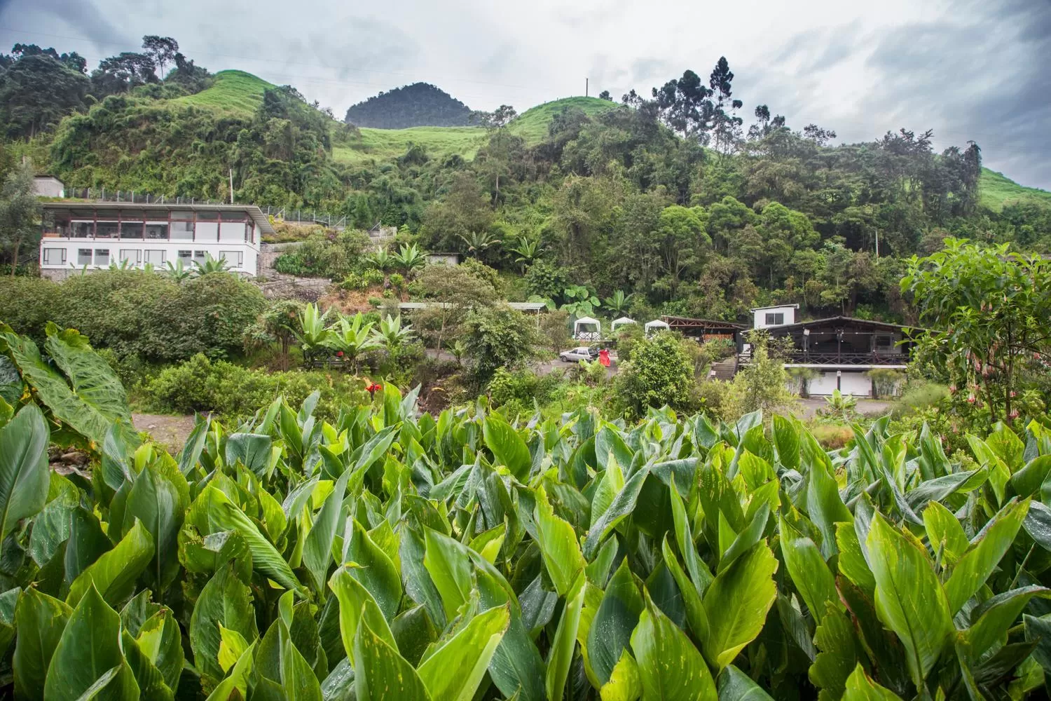 Off site in Hotel Termales Tierra Viva