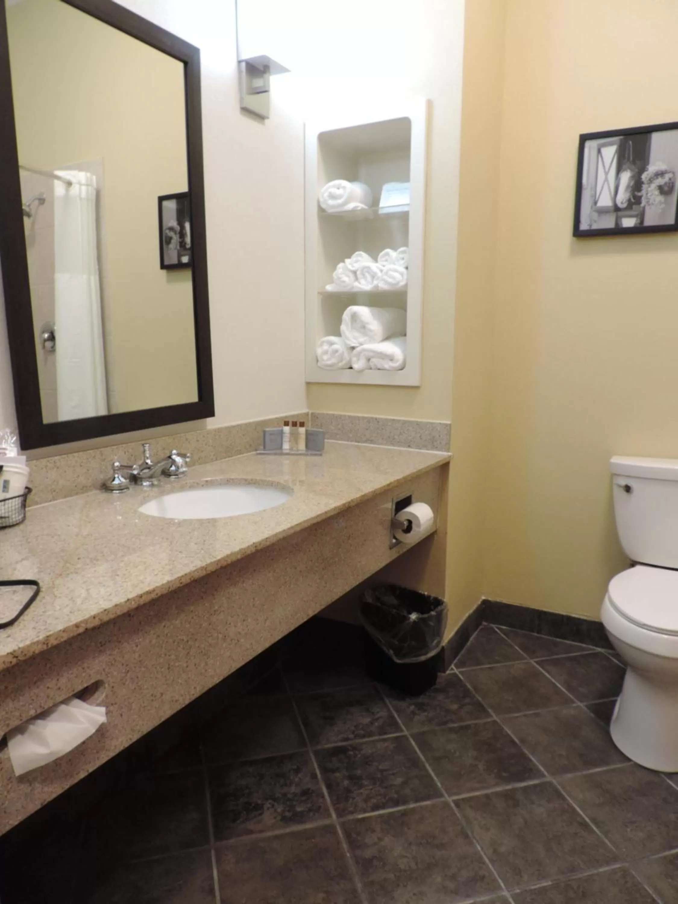 Bathroom in Wingate by Wyndham Bowling Green