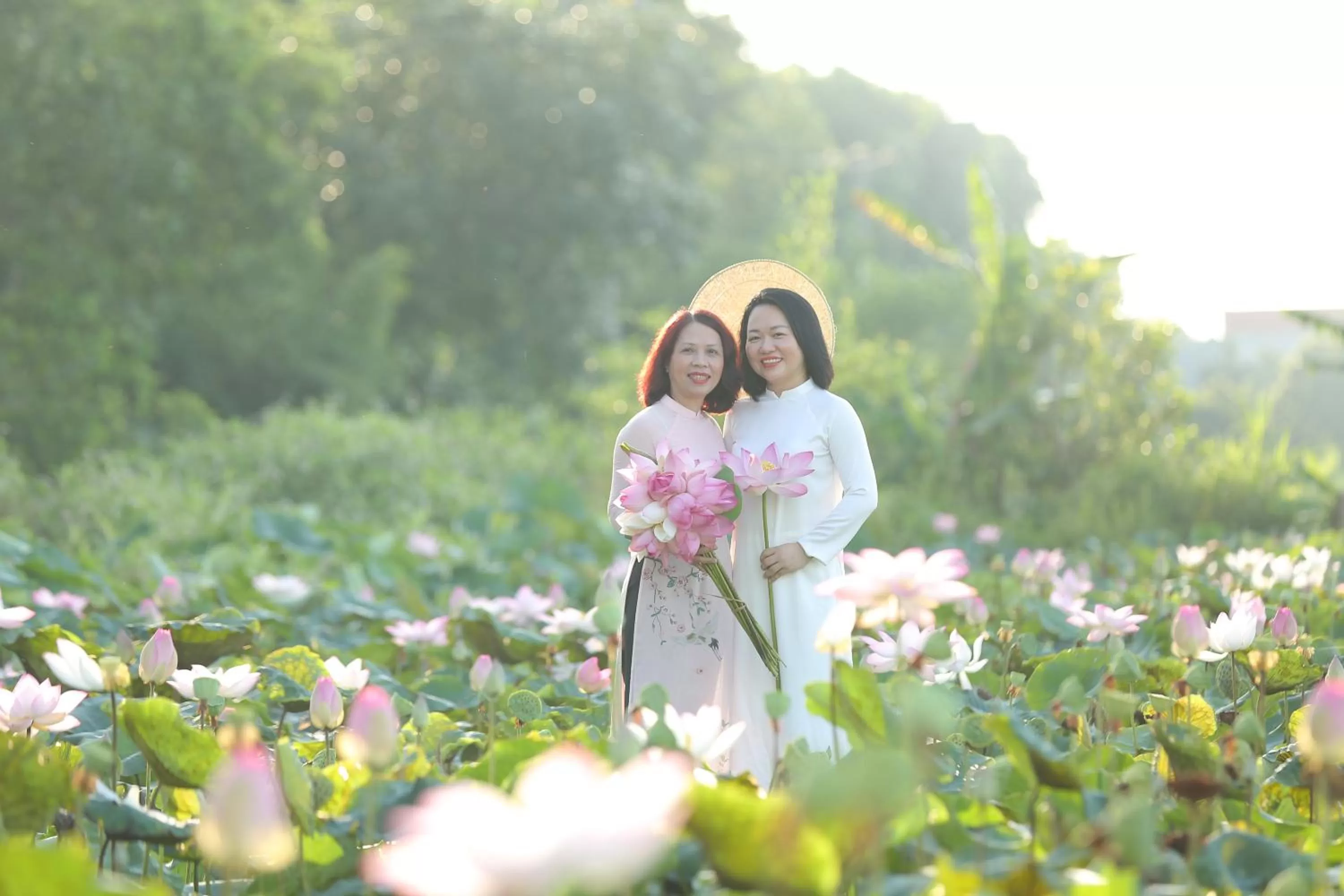 Day in Lotus Hotel Ninh Bình