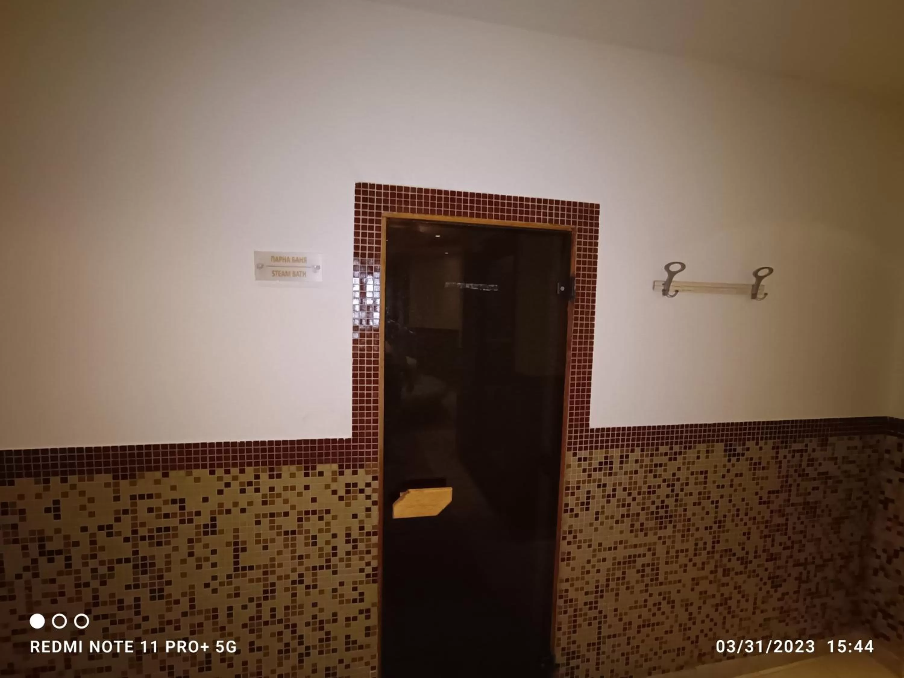 Steam room in Studio D06, Green Life Bansko