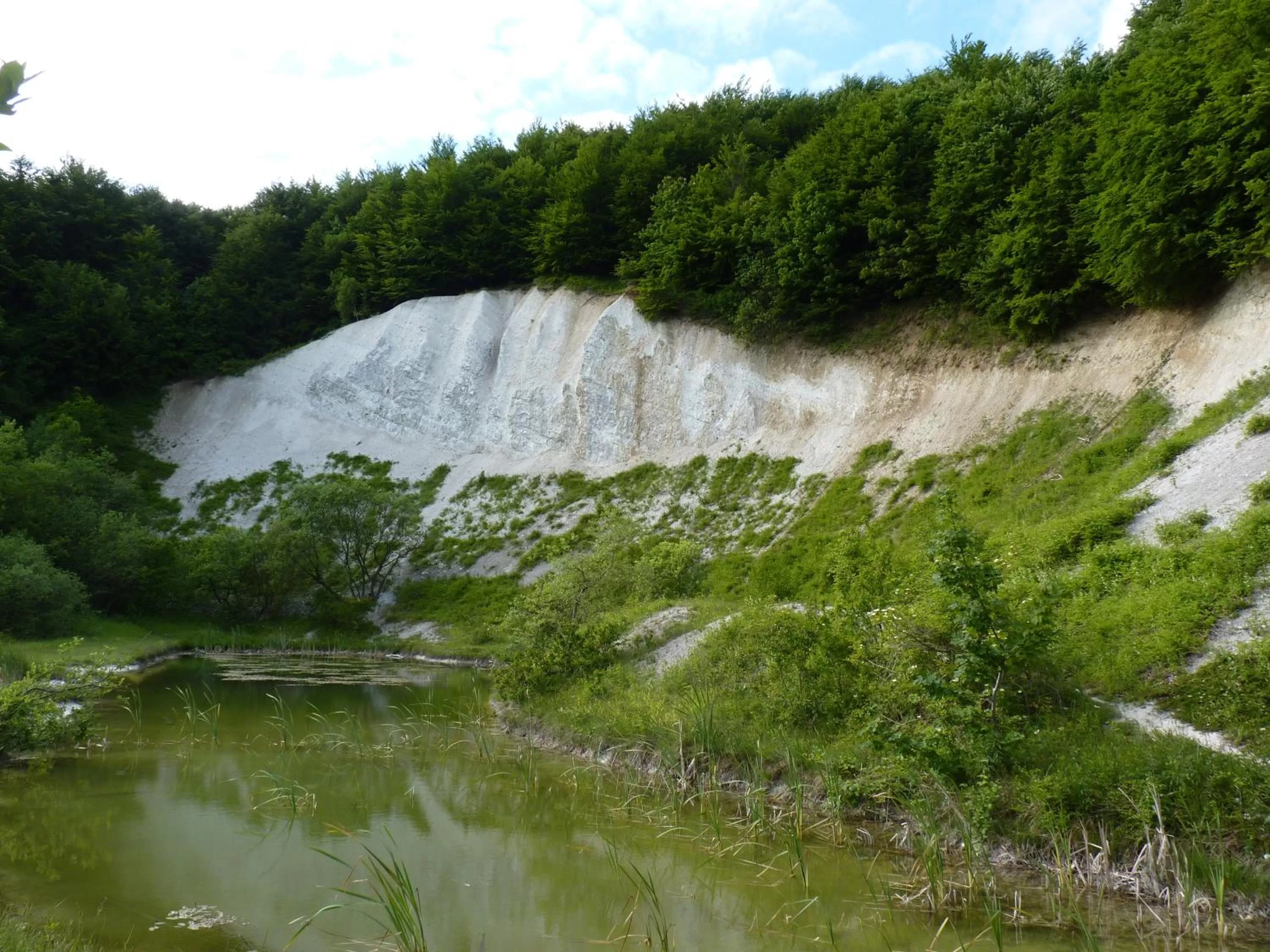 Natural landscape in Hotel Am Markt