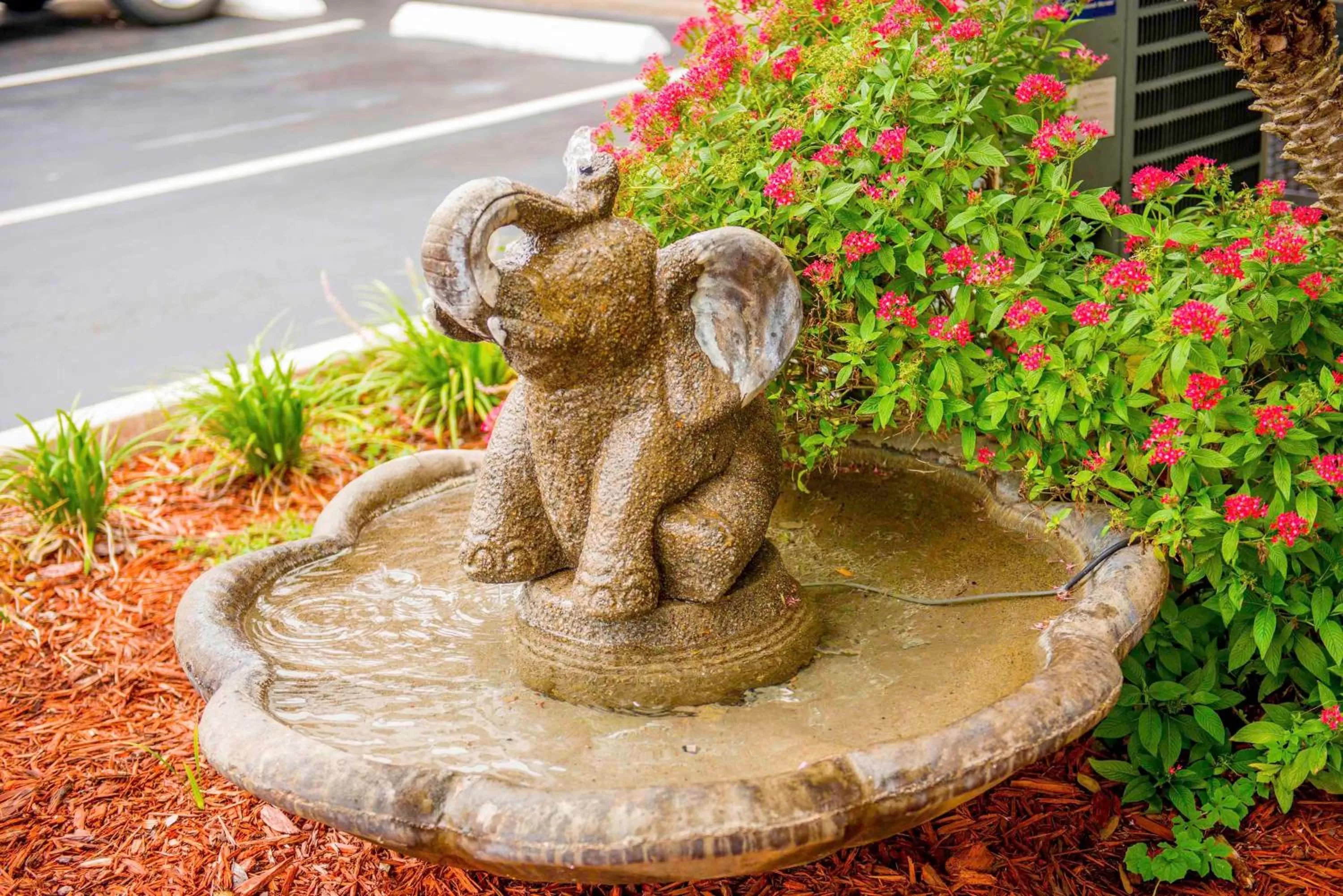 Garden view in Hotel South Tampa & Suites