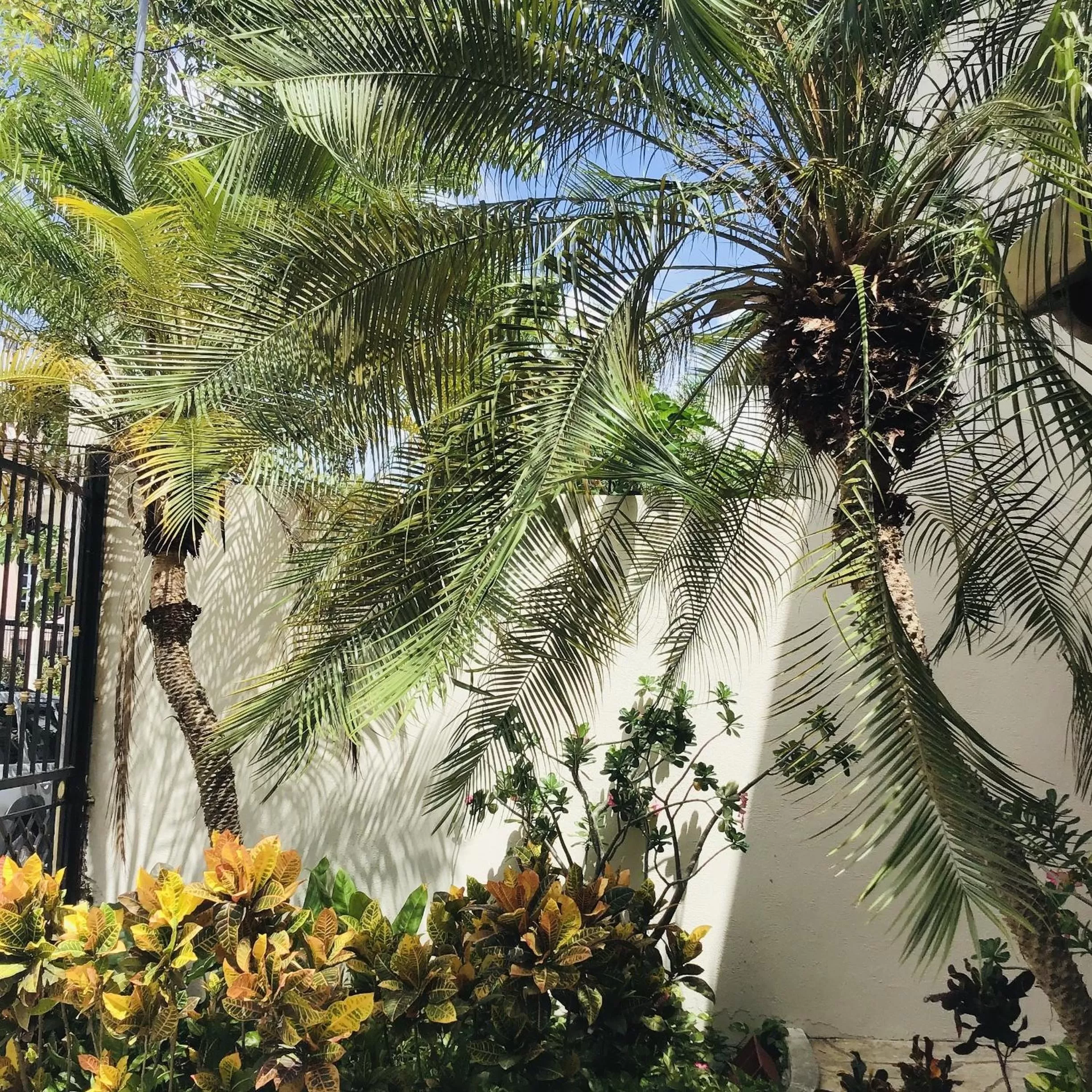 Bed and Breakfast Pecarí