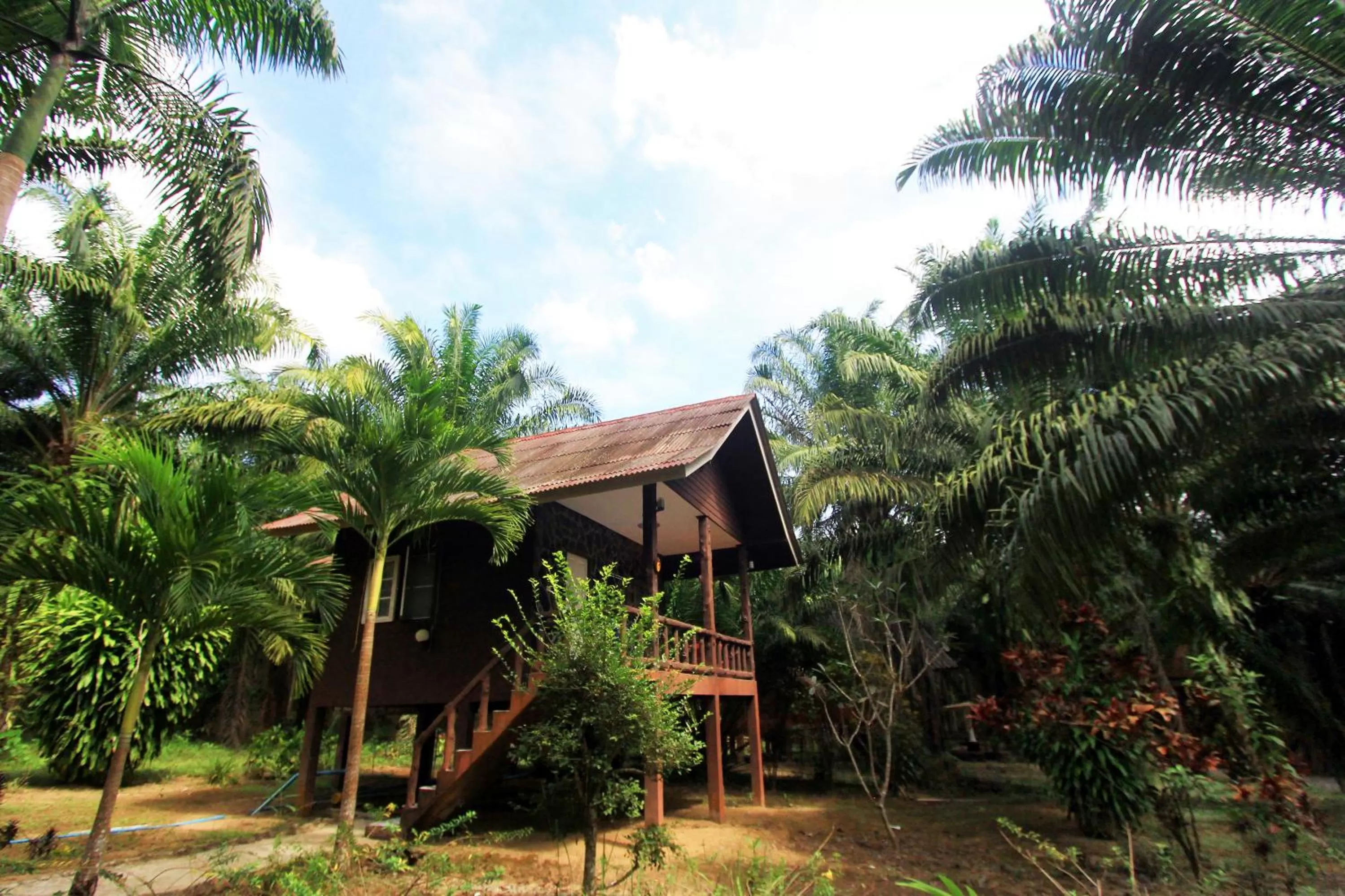 Khao Sok Palmview Resort