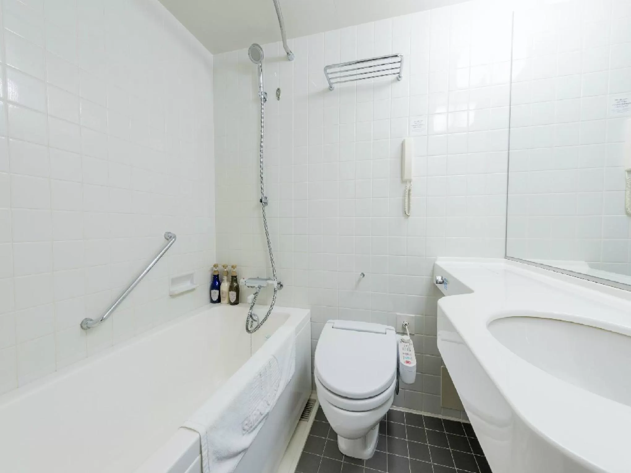 Photo of the whole room in HOTEL MYSTAYS Sapporo Aspen