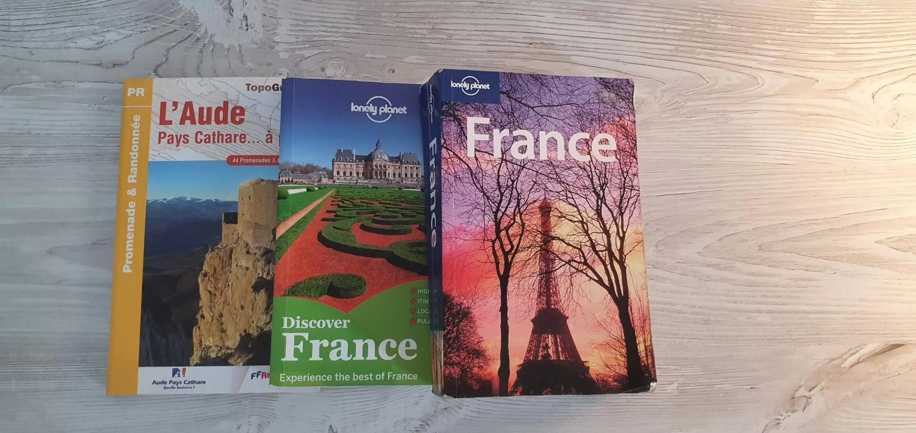 Library in Hôtel L'Alsace