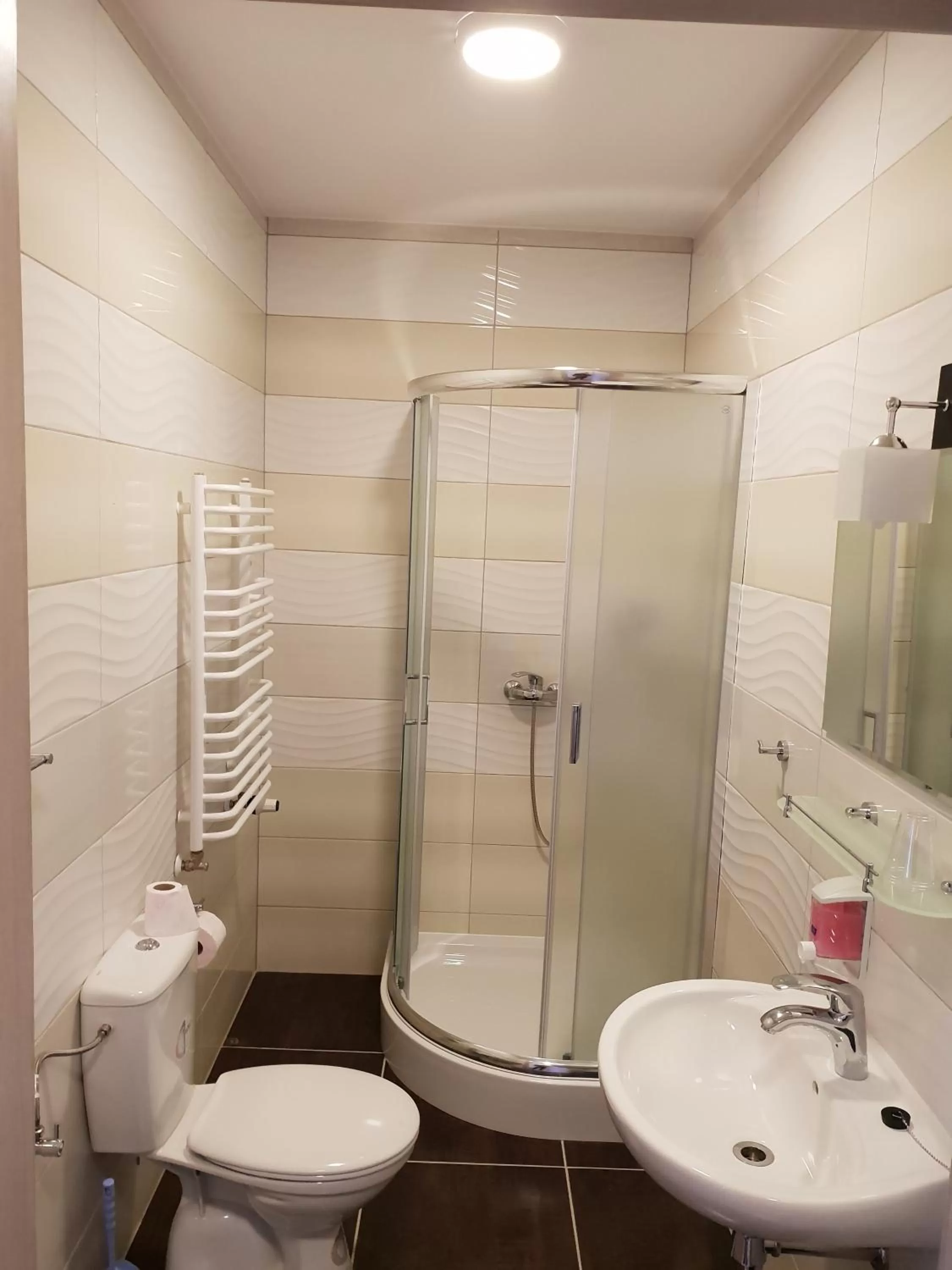 Bathroom in Hotel Pod Strzechą