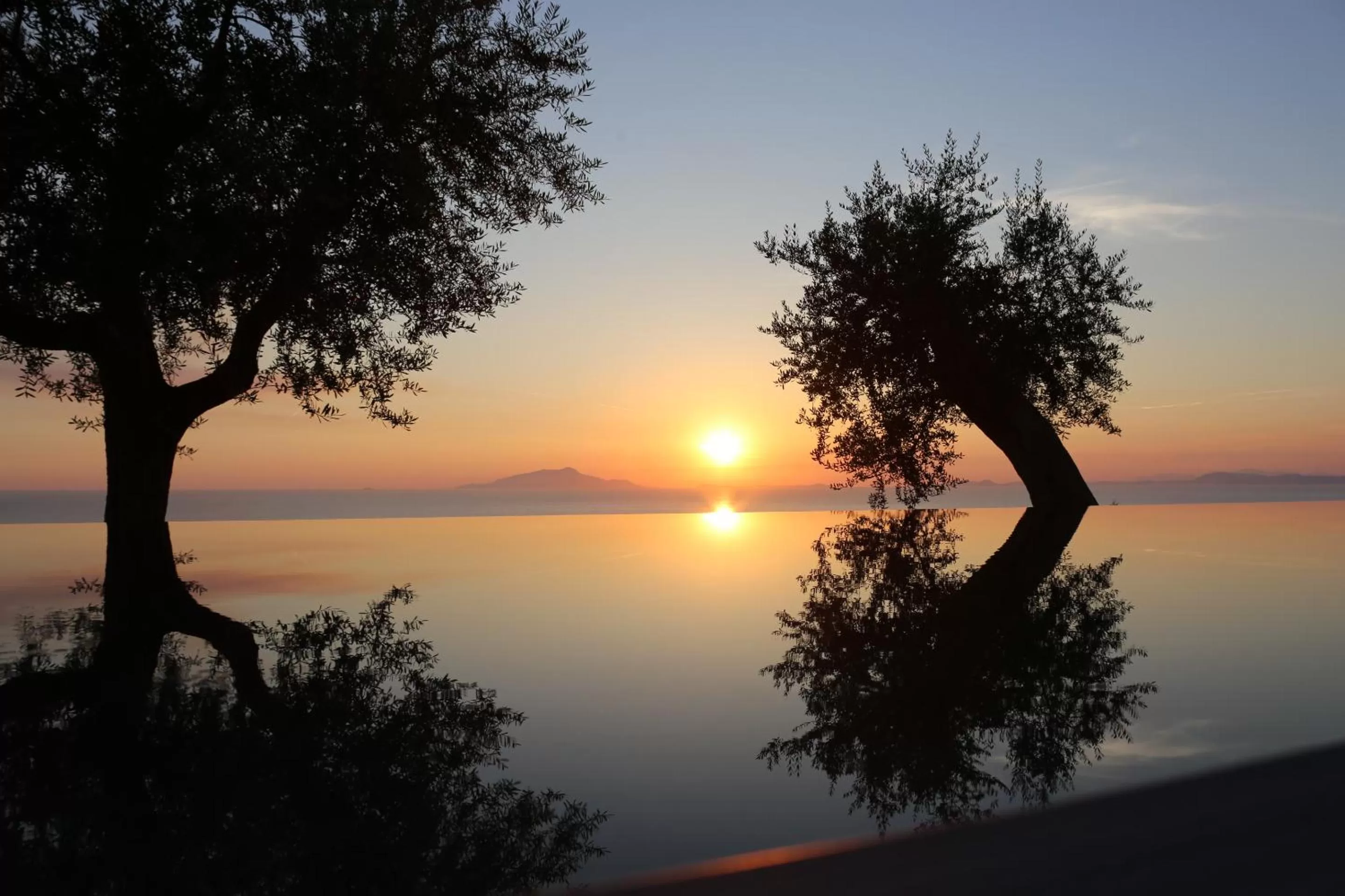 Swimming pool in Villa Fiorella Art Hotel