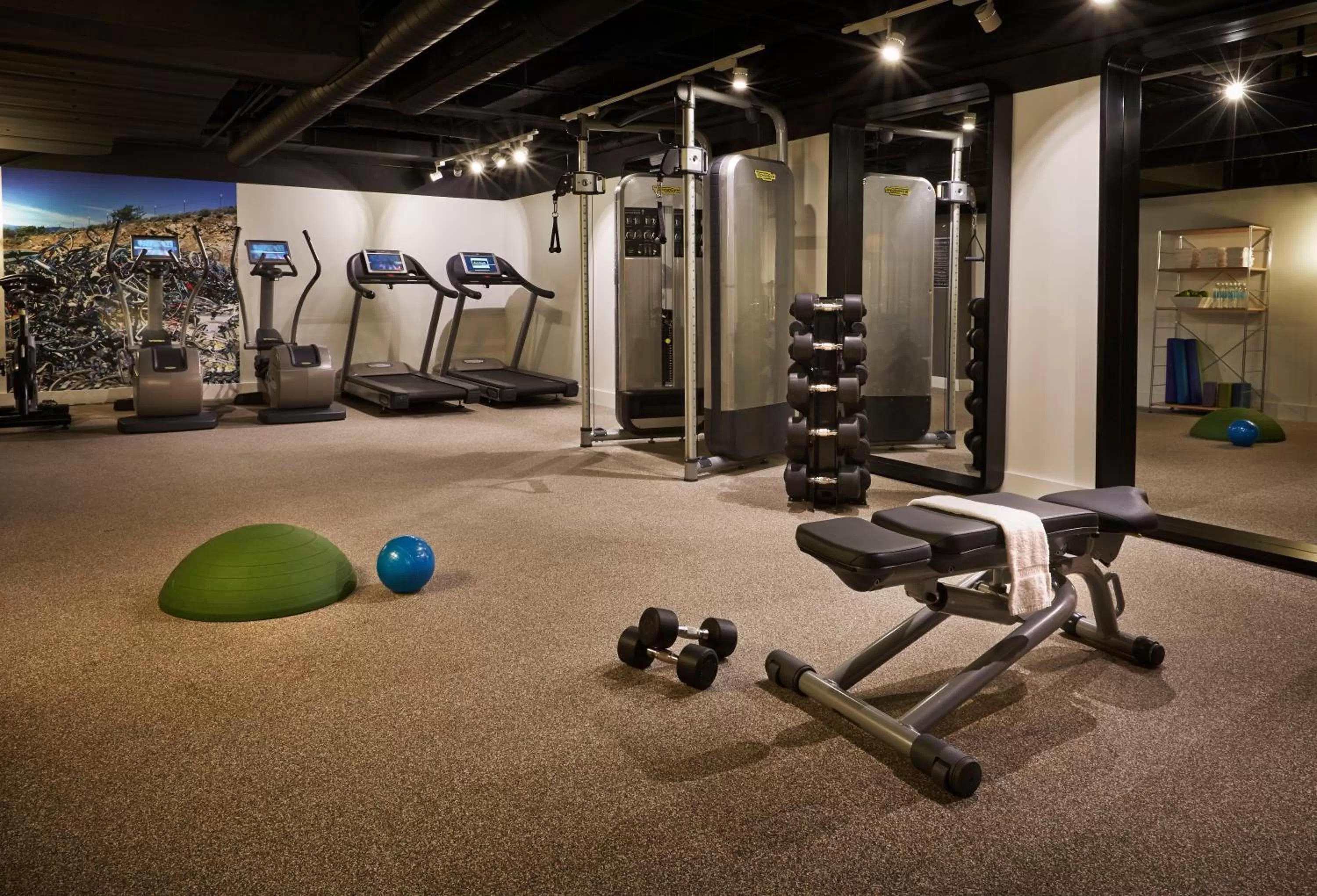 Fitness centre/facilities in Hotel Zetta San Francisco
