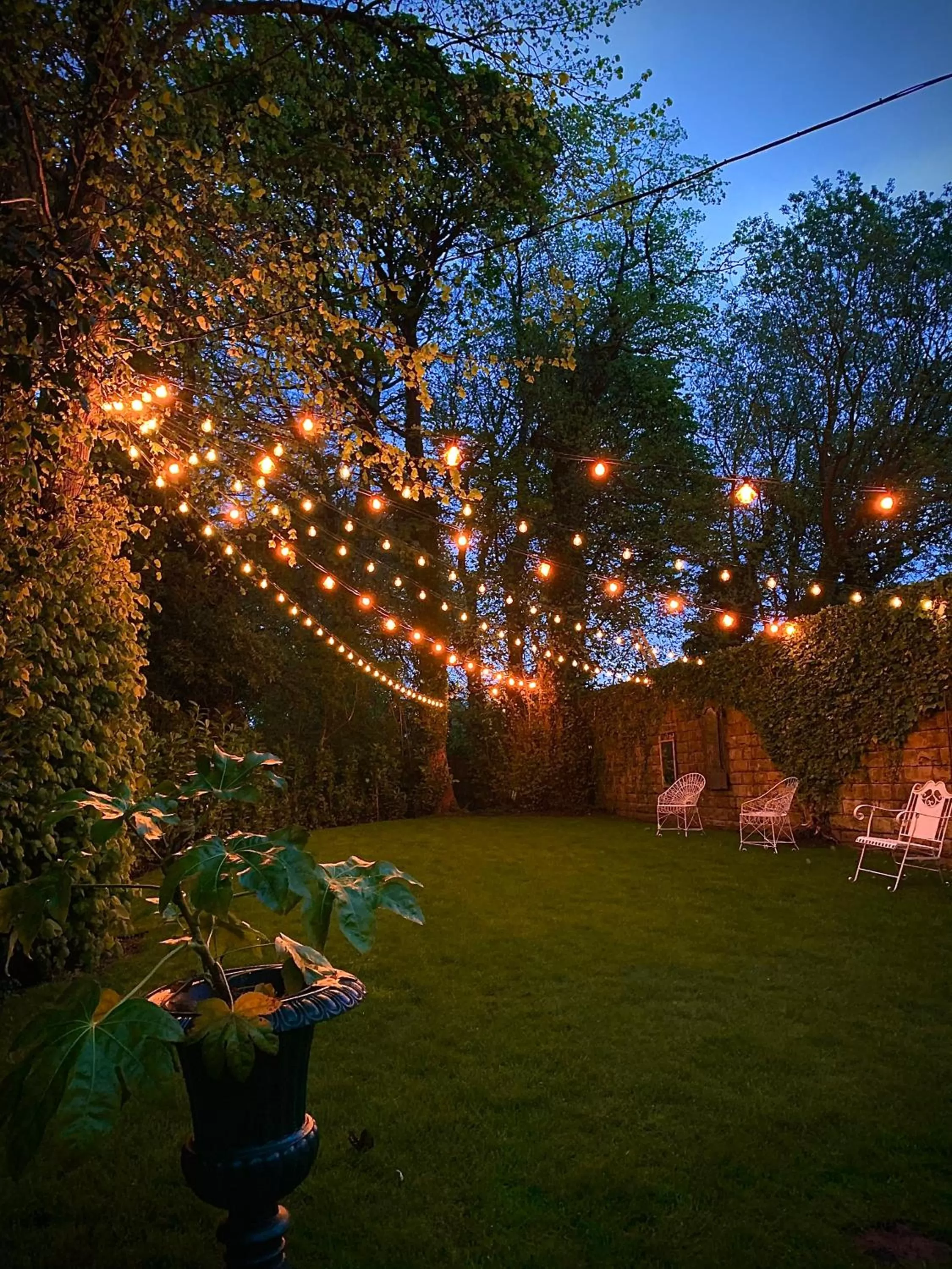 Garden in Rosehill House Hotel
