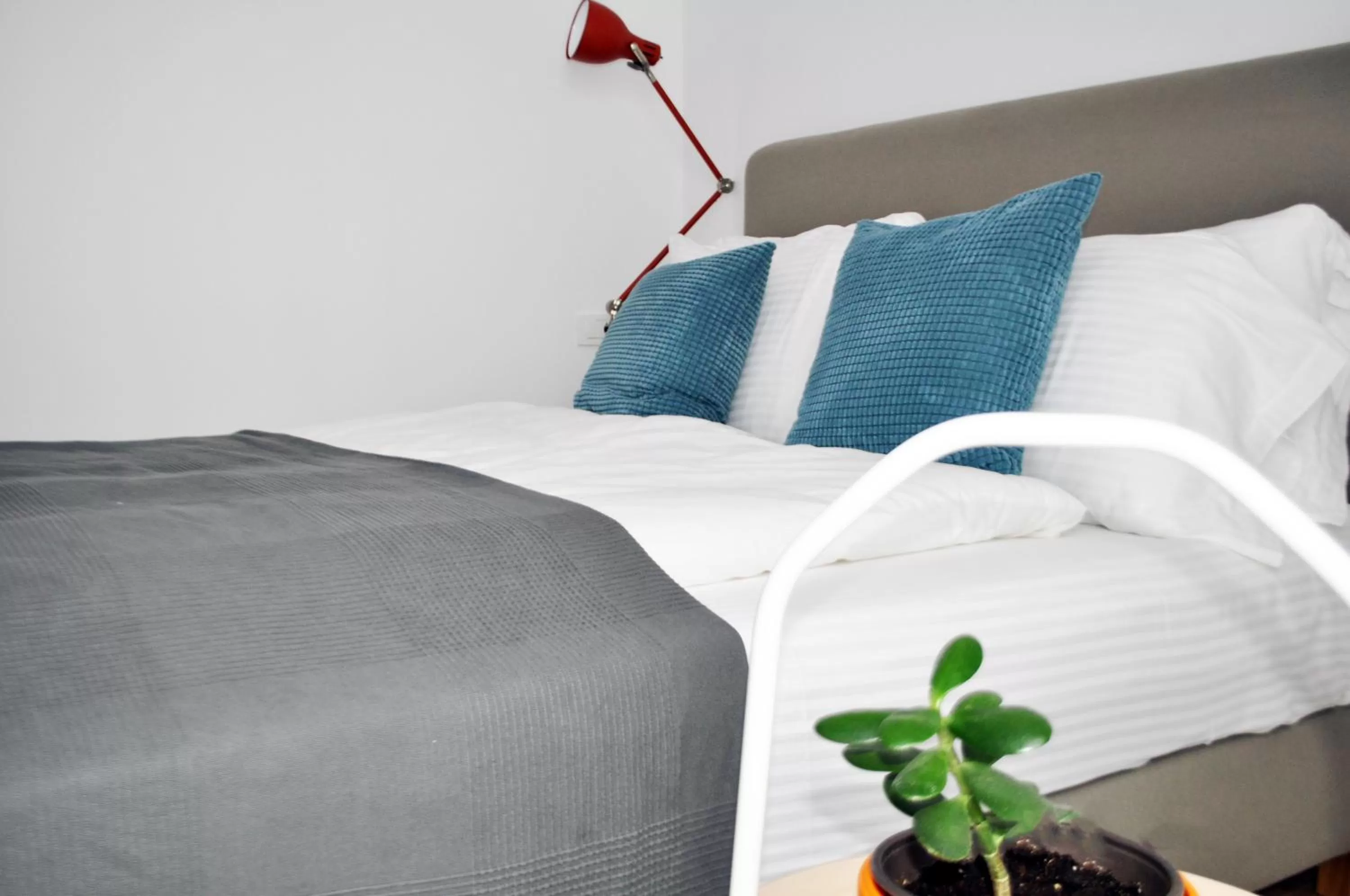 Toilet, Bed in Rooftop Tirana