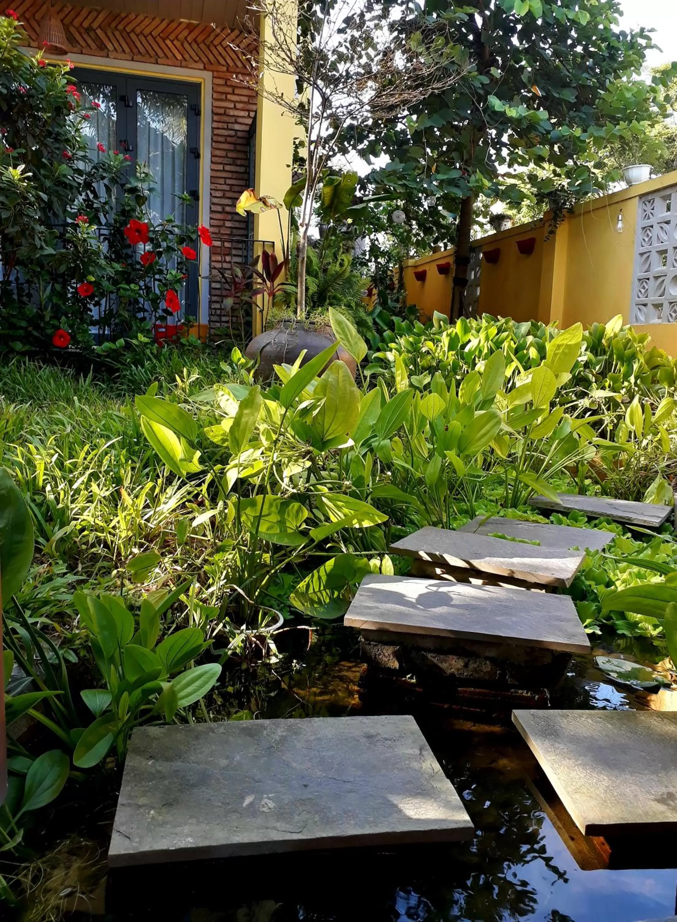 Garden in Pink Tulip Hoi An