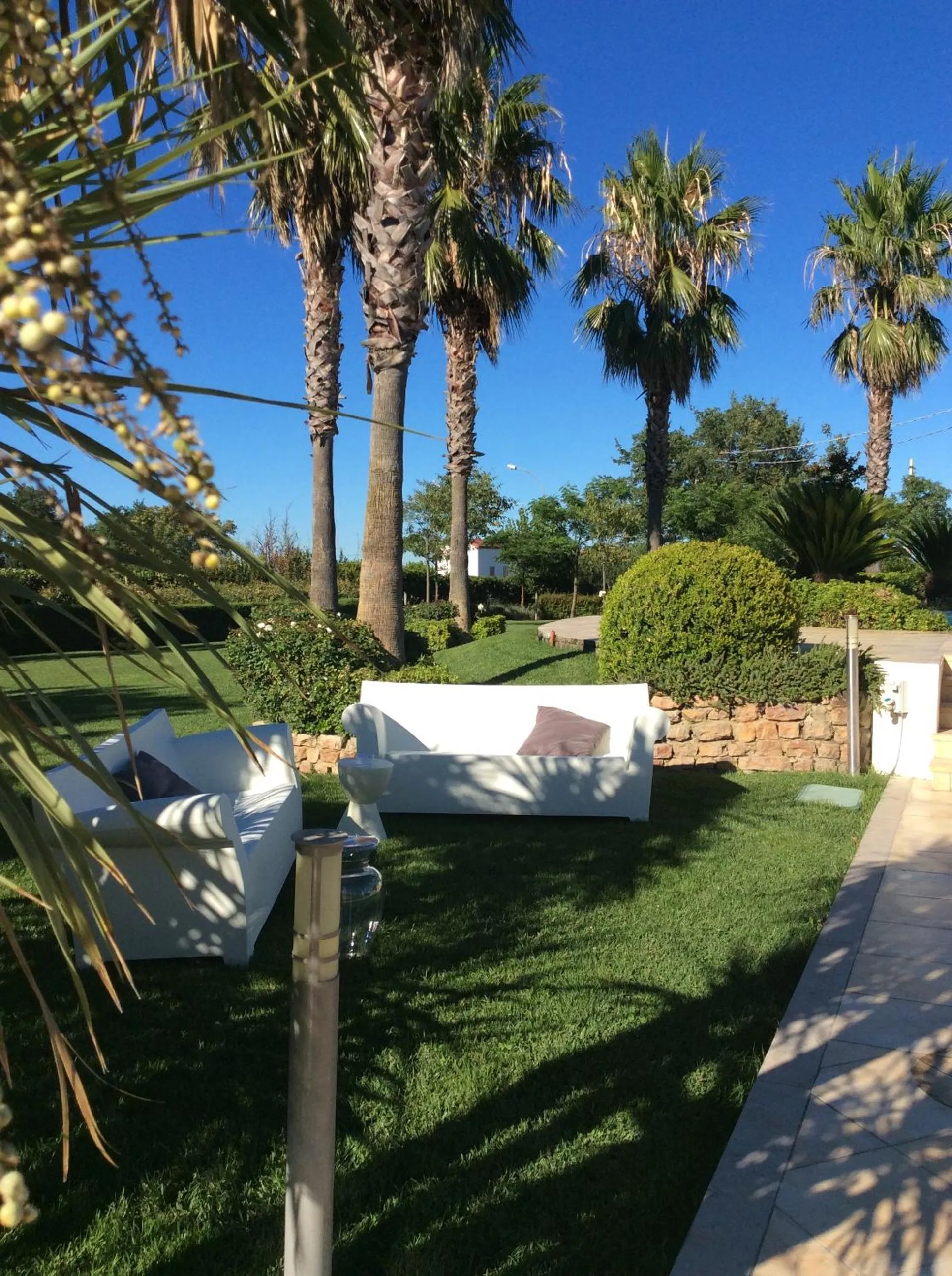 Garden in Hotel Altamira