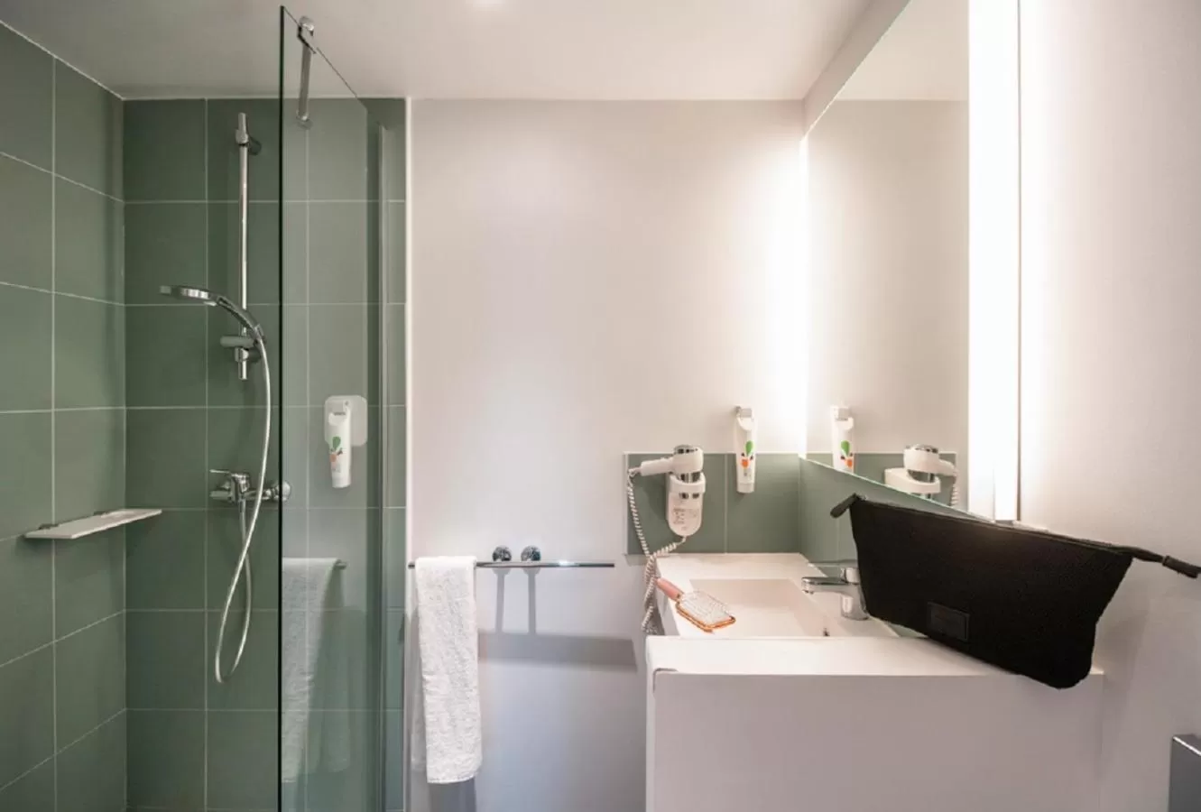 Shower in Ibis Styles Nice Centre Gare