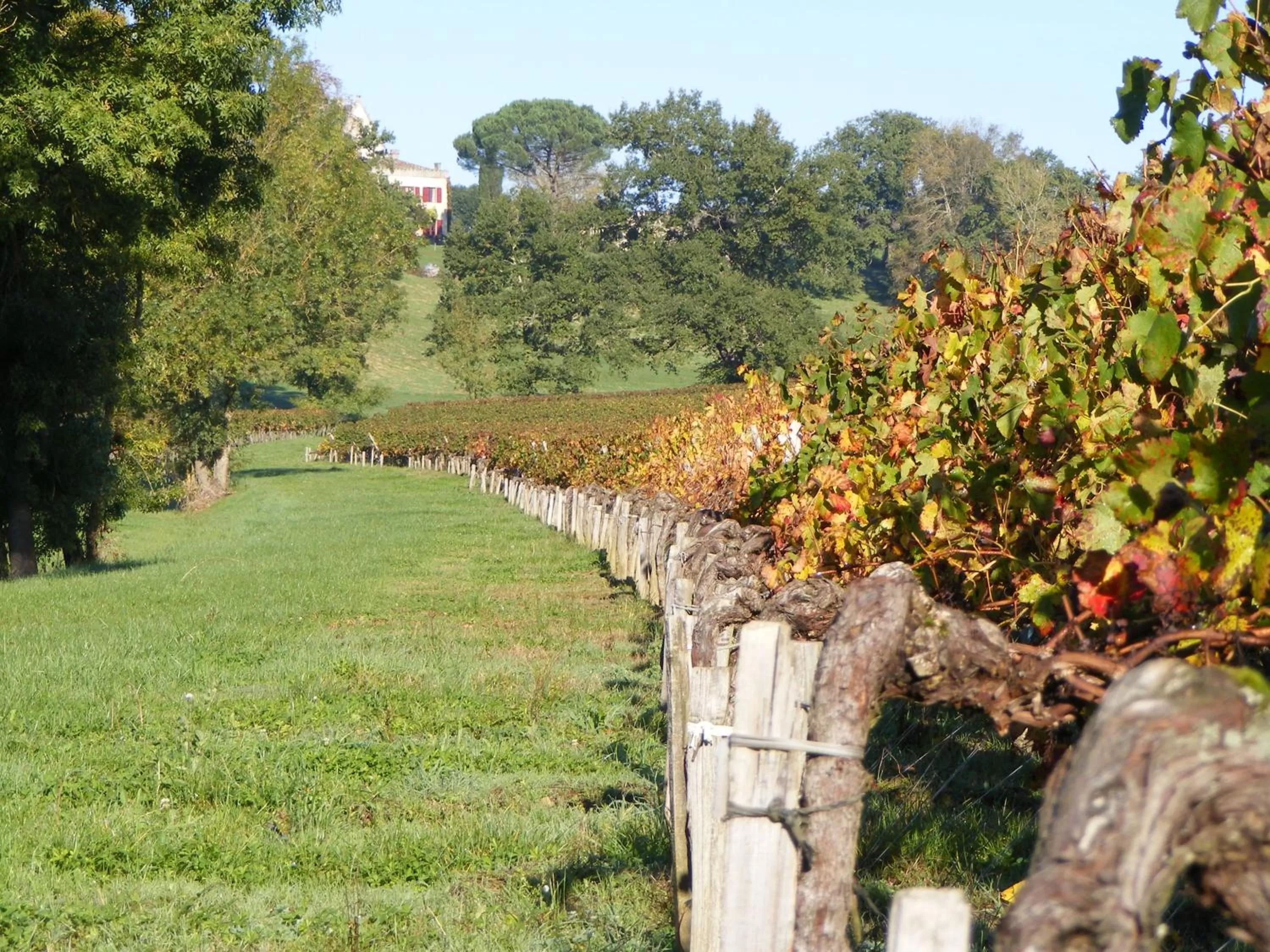 Activities in La chambre de la Tour