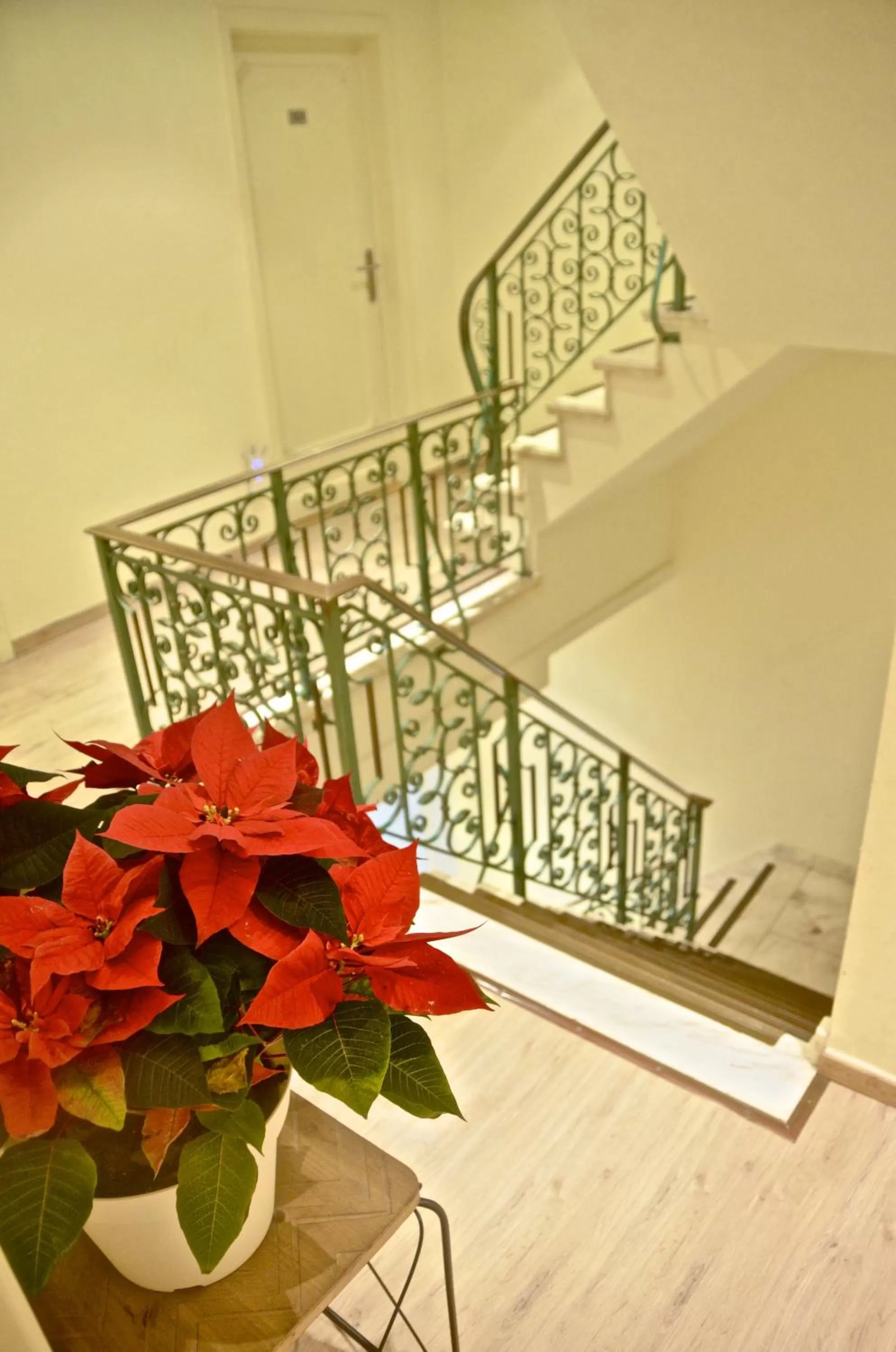 Property building in Hotel Amaryllis