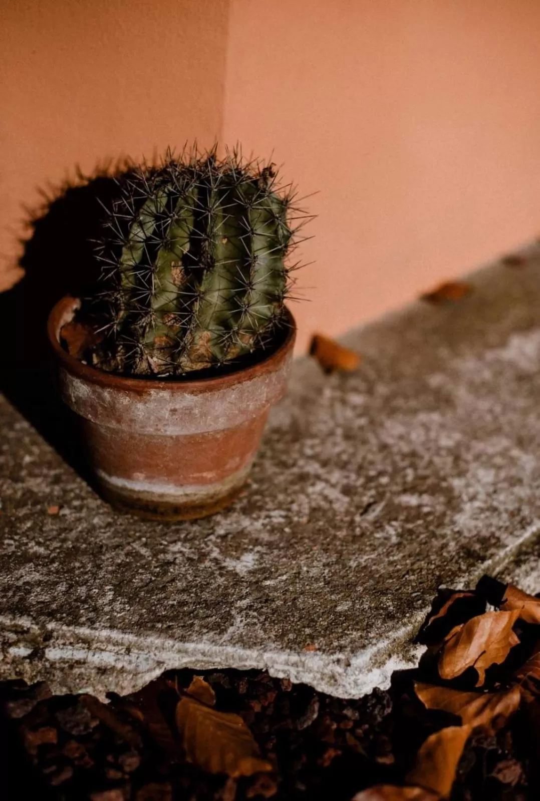 Decorative detail in Panoramic Villa Garassino - country rooms and fine restaurant
