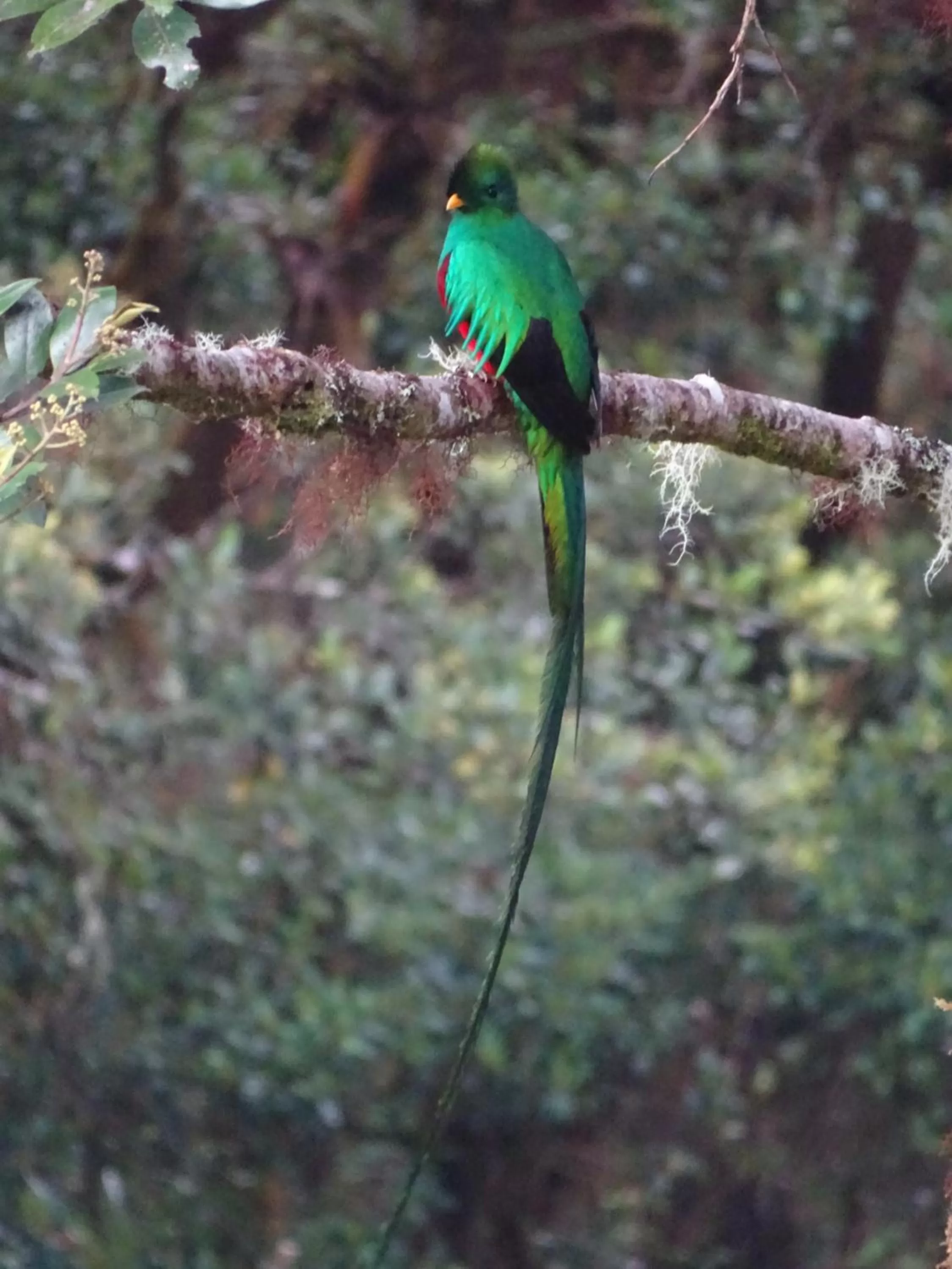 Off site in Iyok Ami (Madre Tierra)