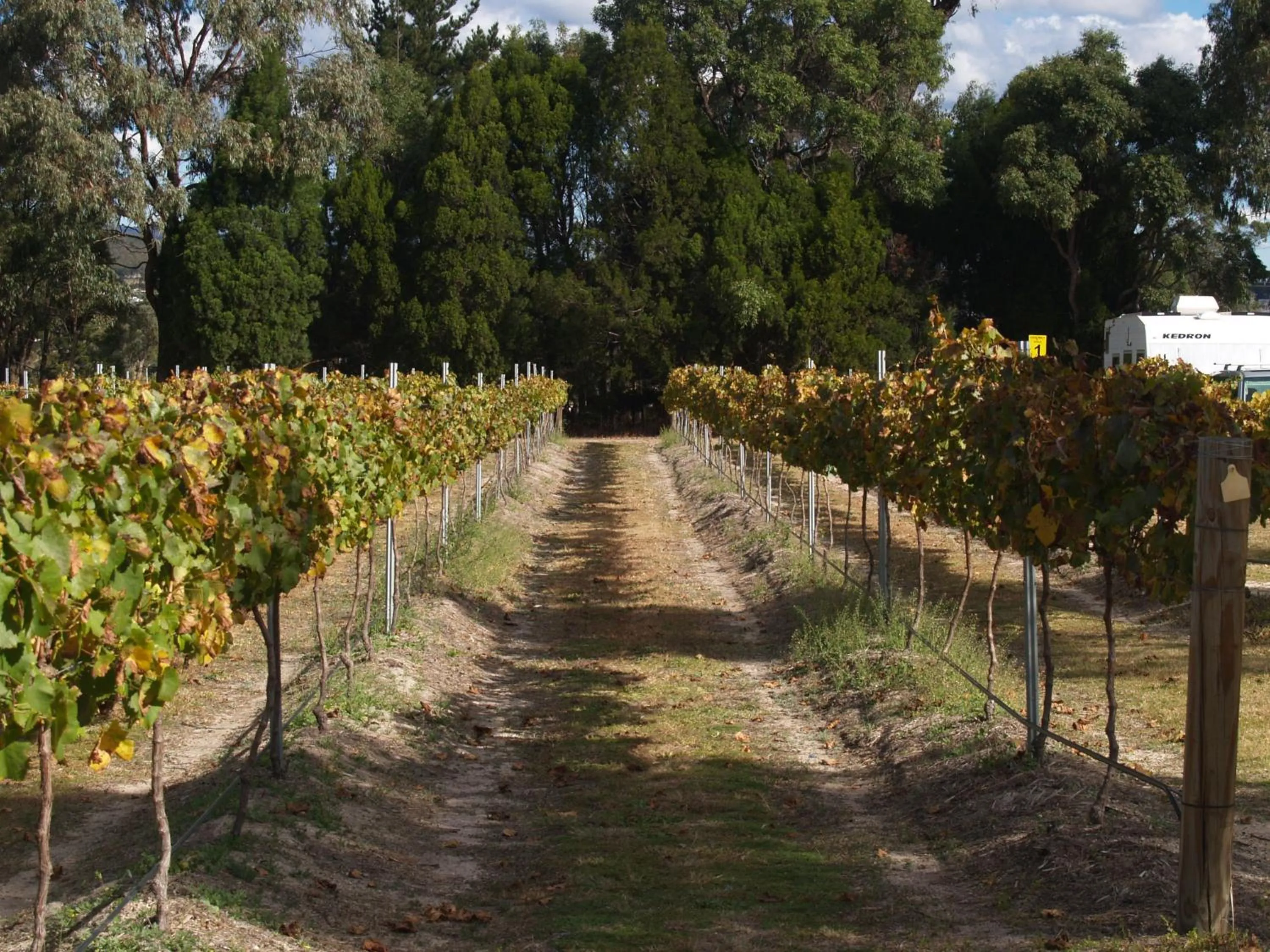 Other in Boulevard Motel