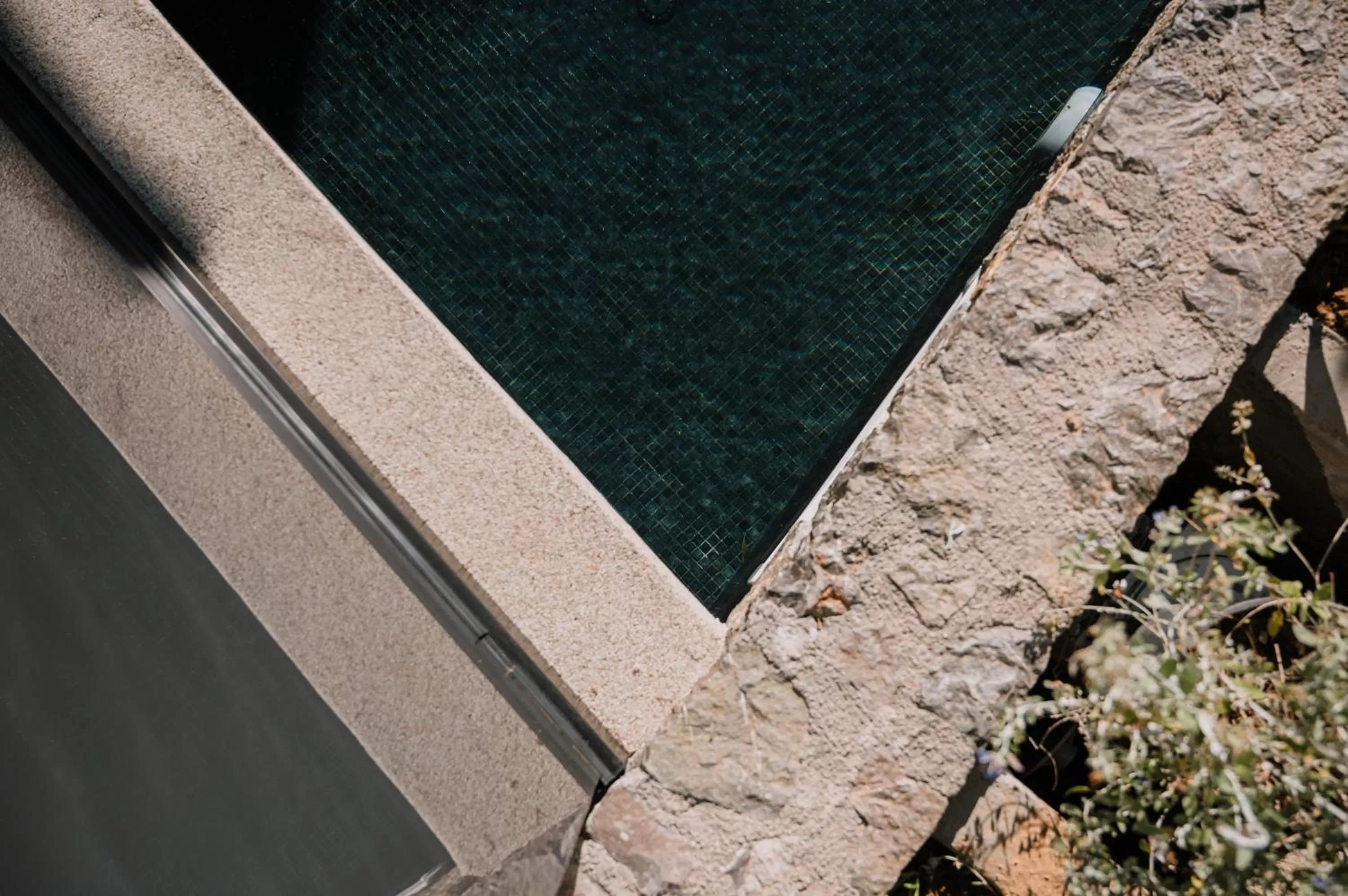 Day in Opal Executive Suites