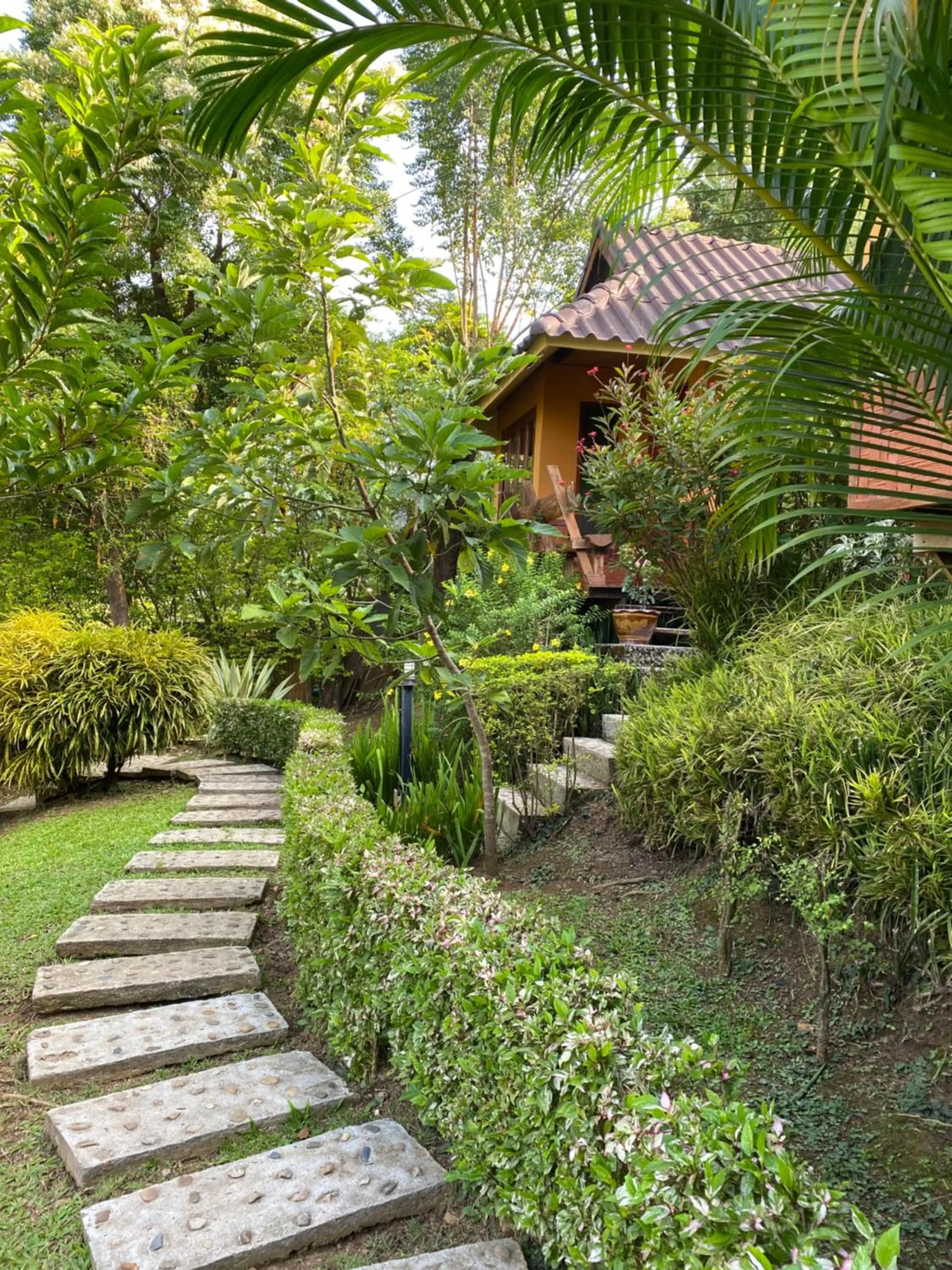 Property building in Pura Vida Pai Resort