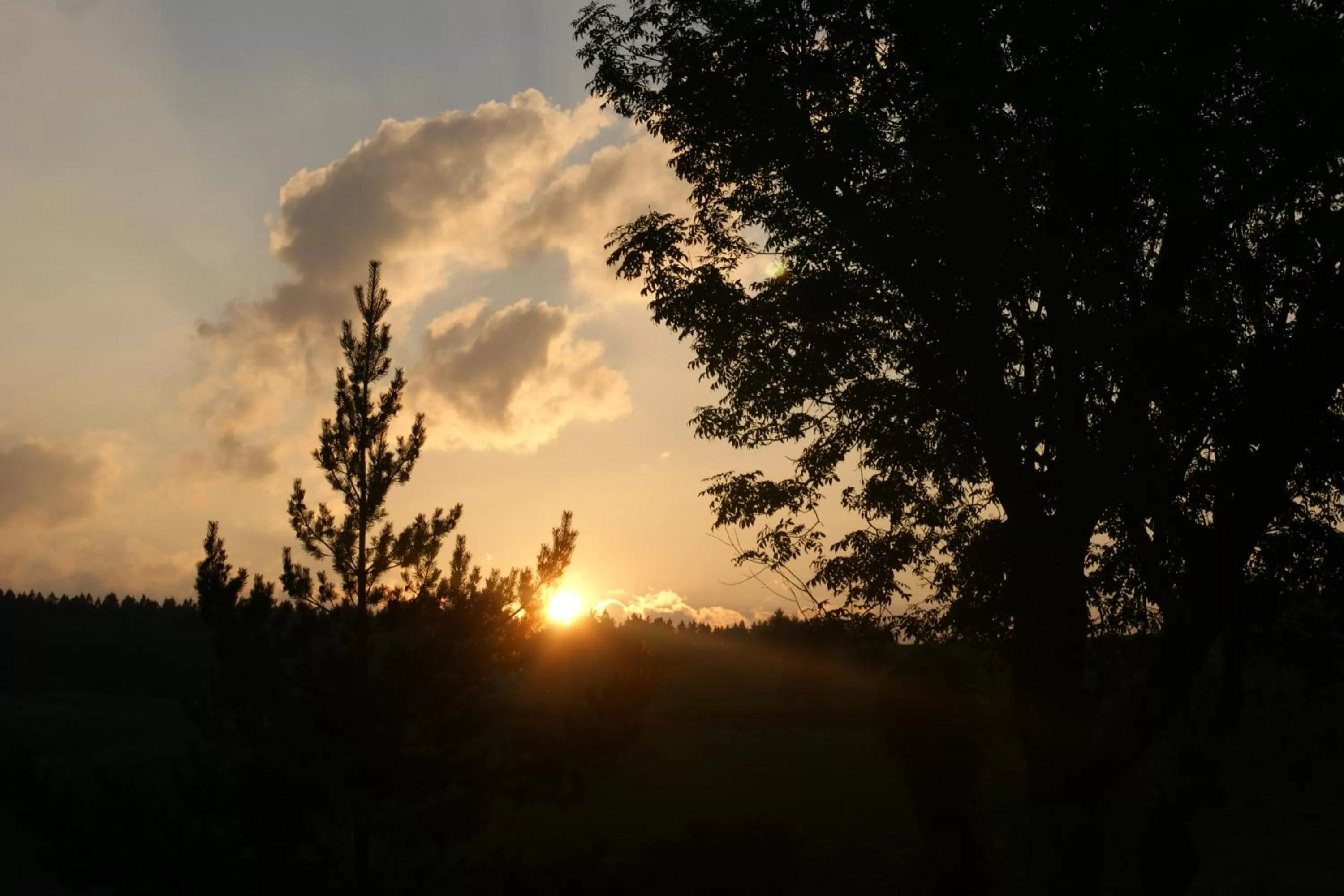 Sunset in ZUR TRAUBE Schwarzwaldhotel & Restaurant am Titisee