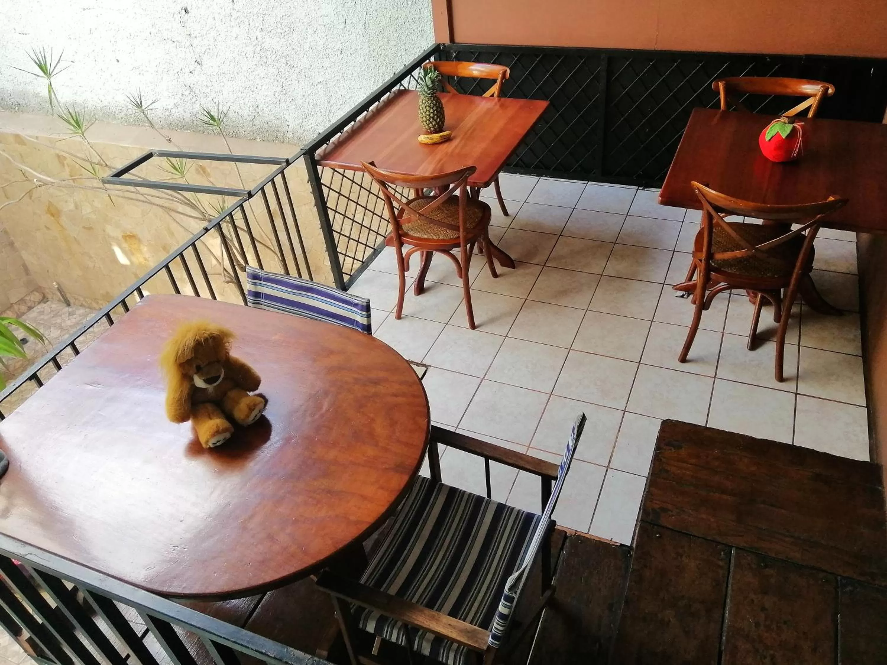 Balcony/Terrace in Casa Leon Guesthouse