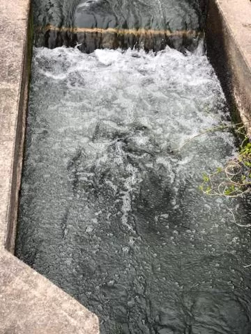 Herring Run Motel and Tiny Cabins