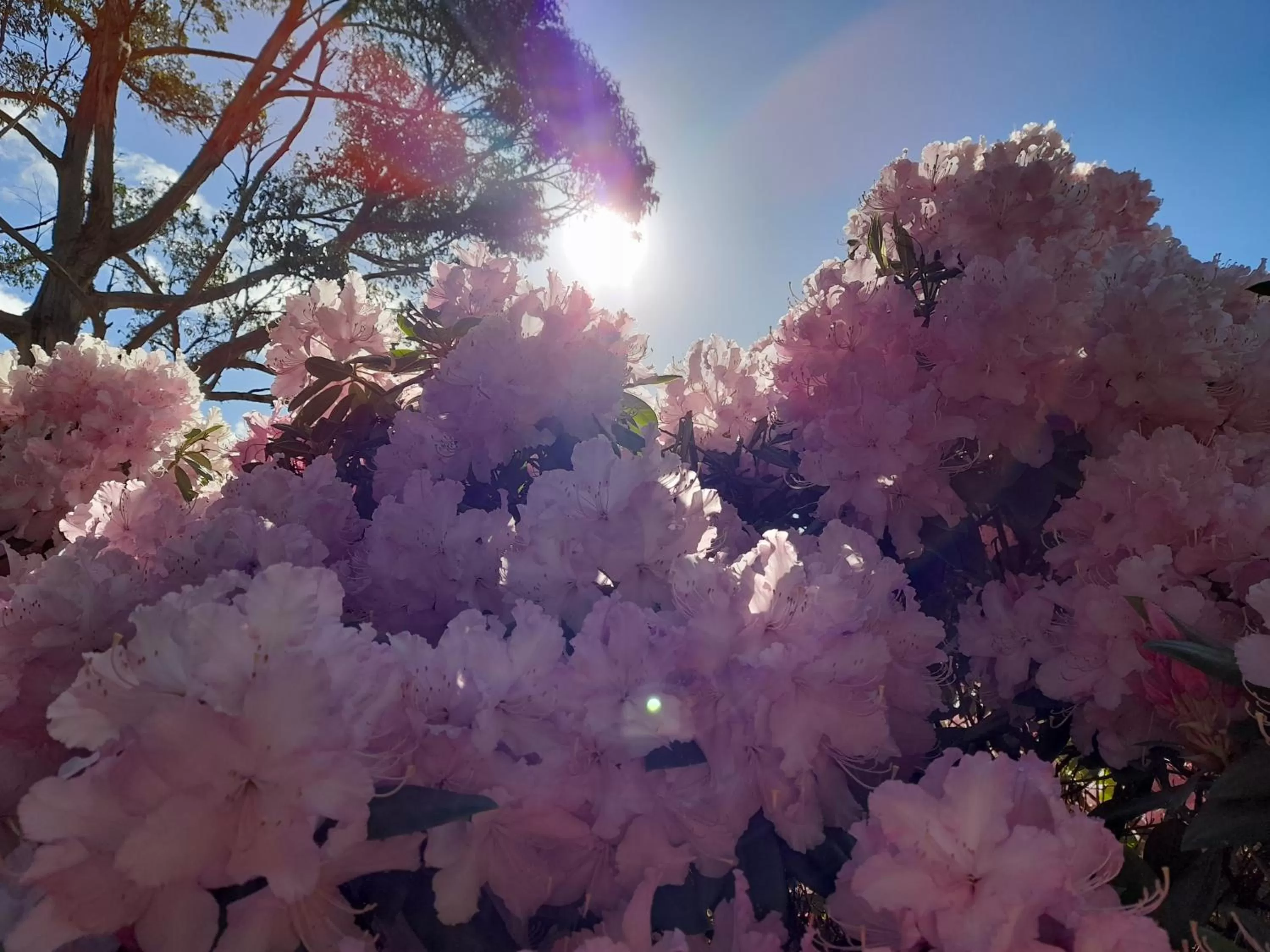 Hillside Bed and Breakfast