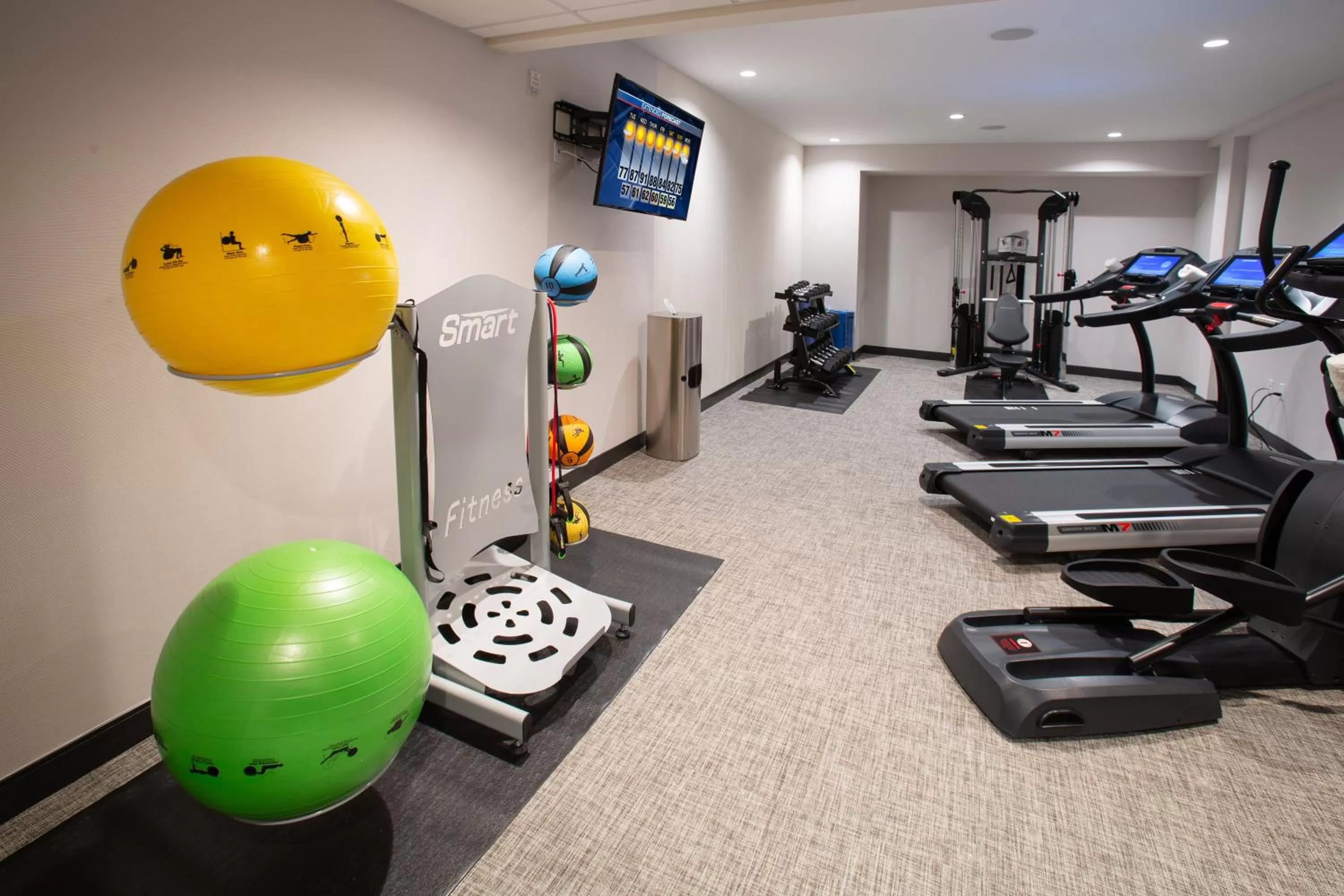 Fitness centre/facilities in The Delaney Hotel
