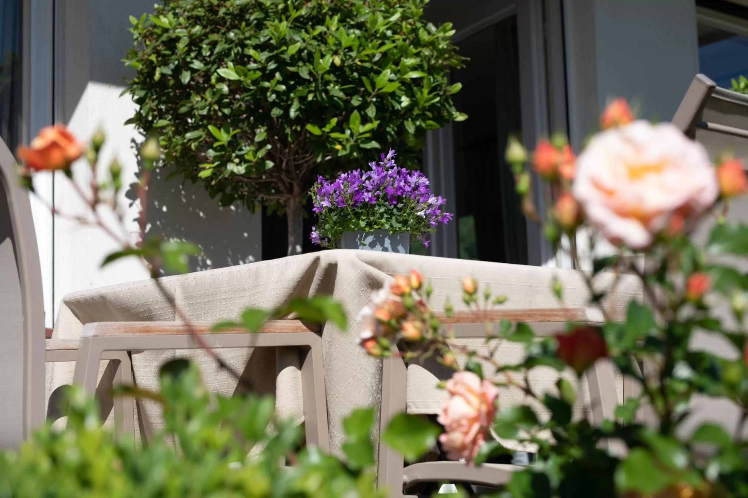 Balcony/Terrace in Residence Margreth