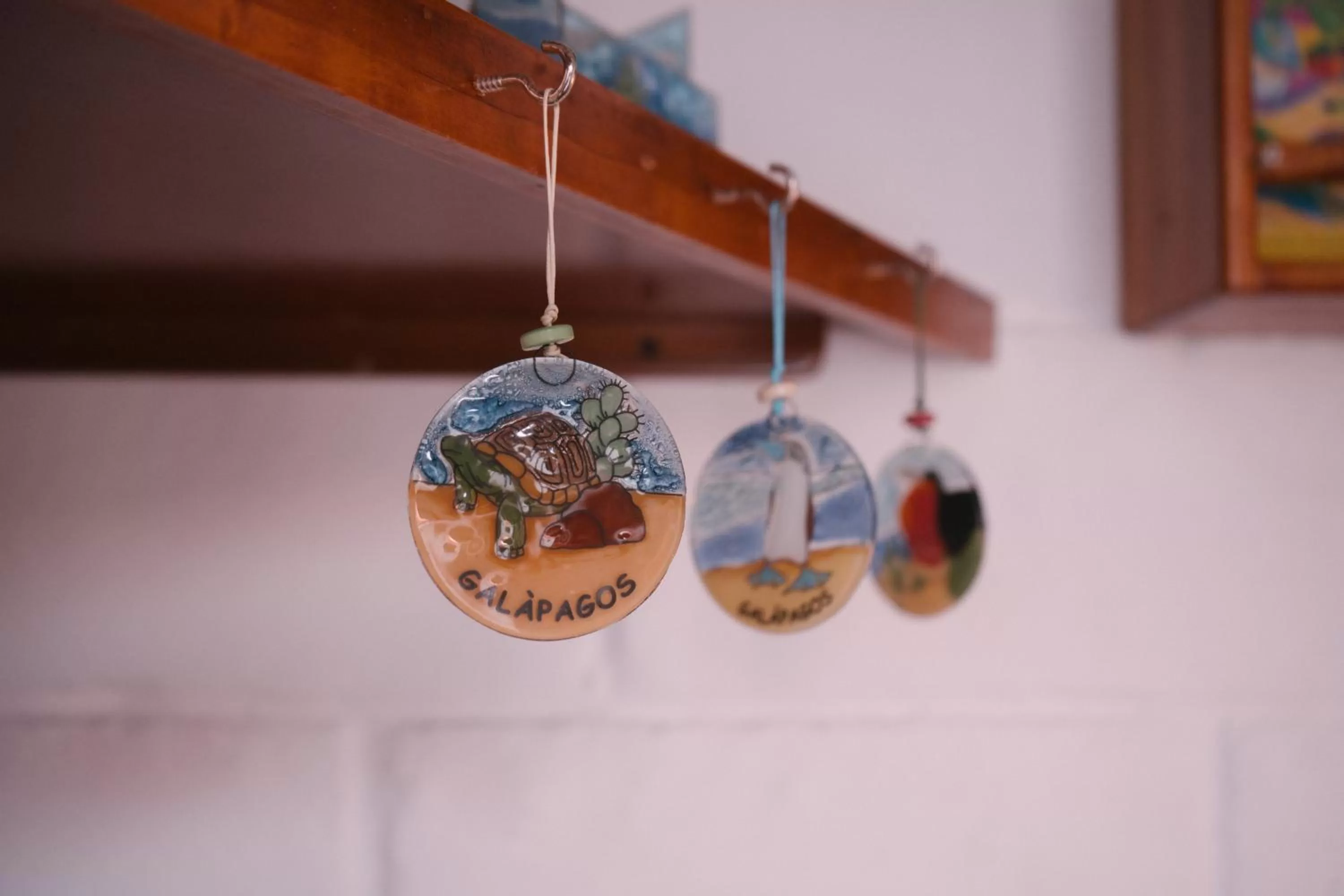 On-site shops in Hotel Pimampiro