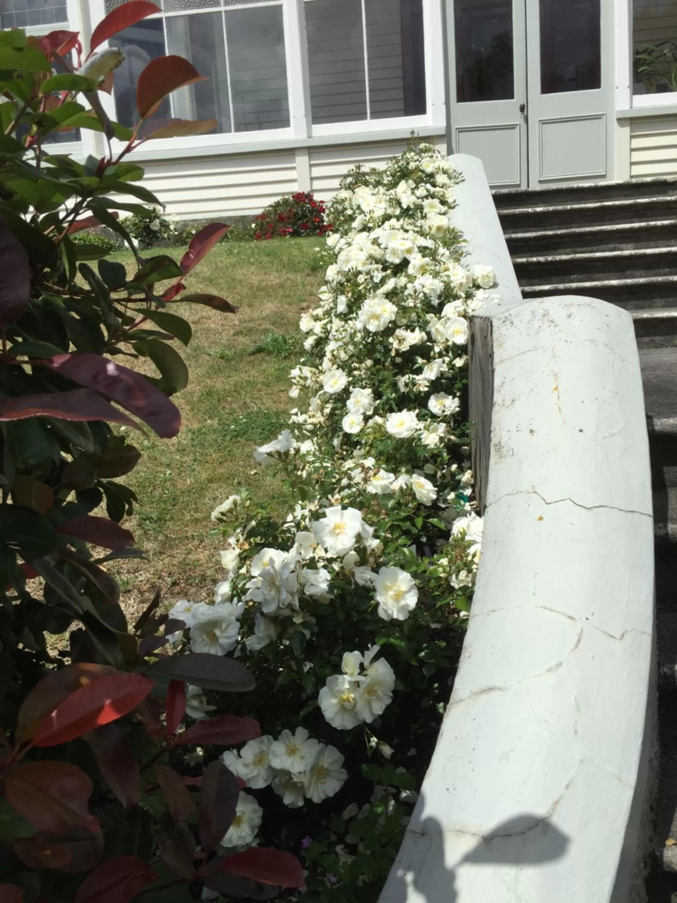 Natural landscape in BnB at Bidwill