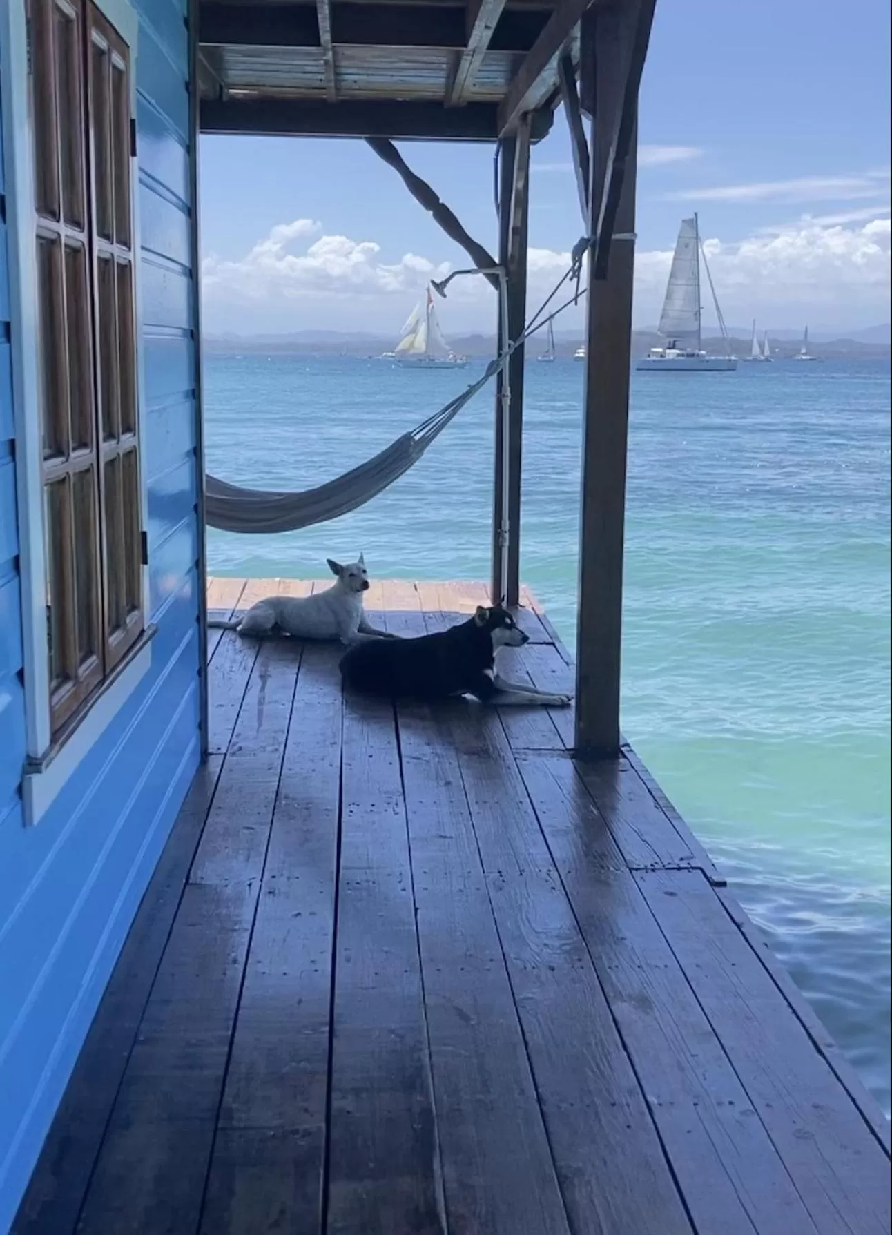 Sea View in Casa Acuario Boutique Hotel