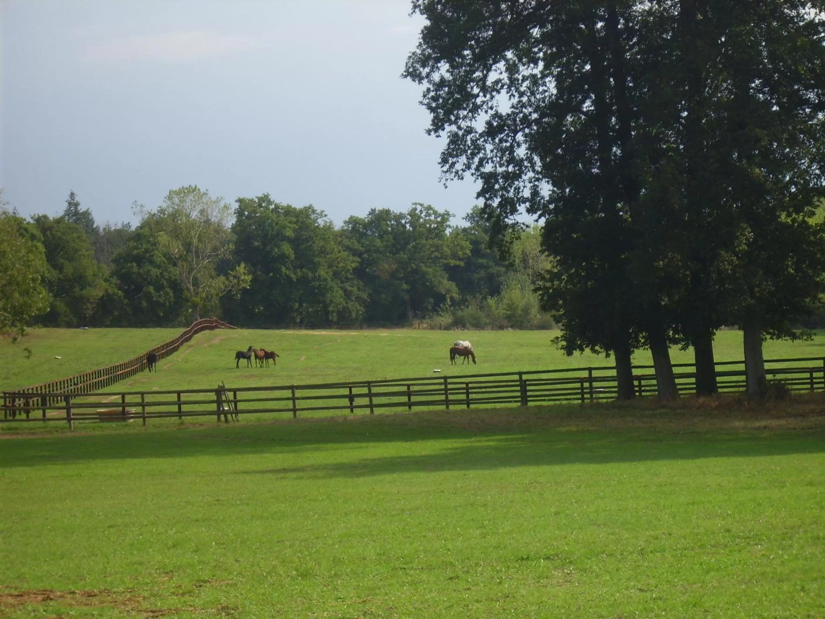 Natural landscape in Grand Mainguet