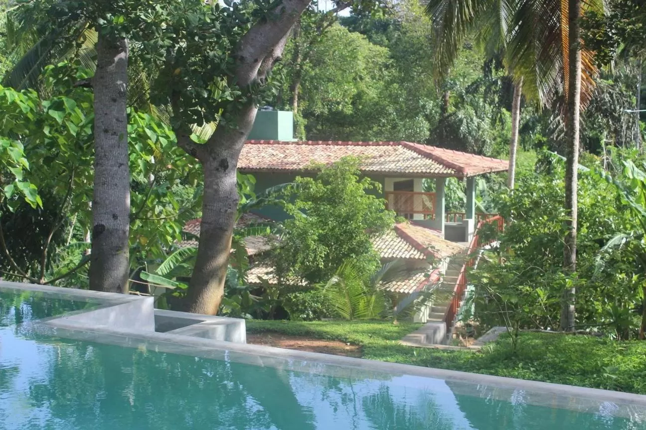 Swimming Pool in The Spice House Mirissa