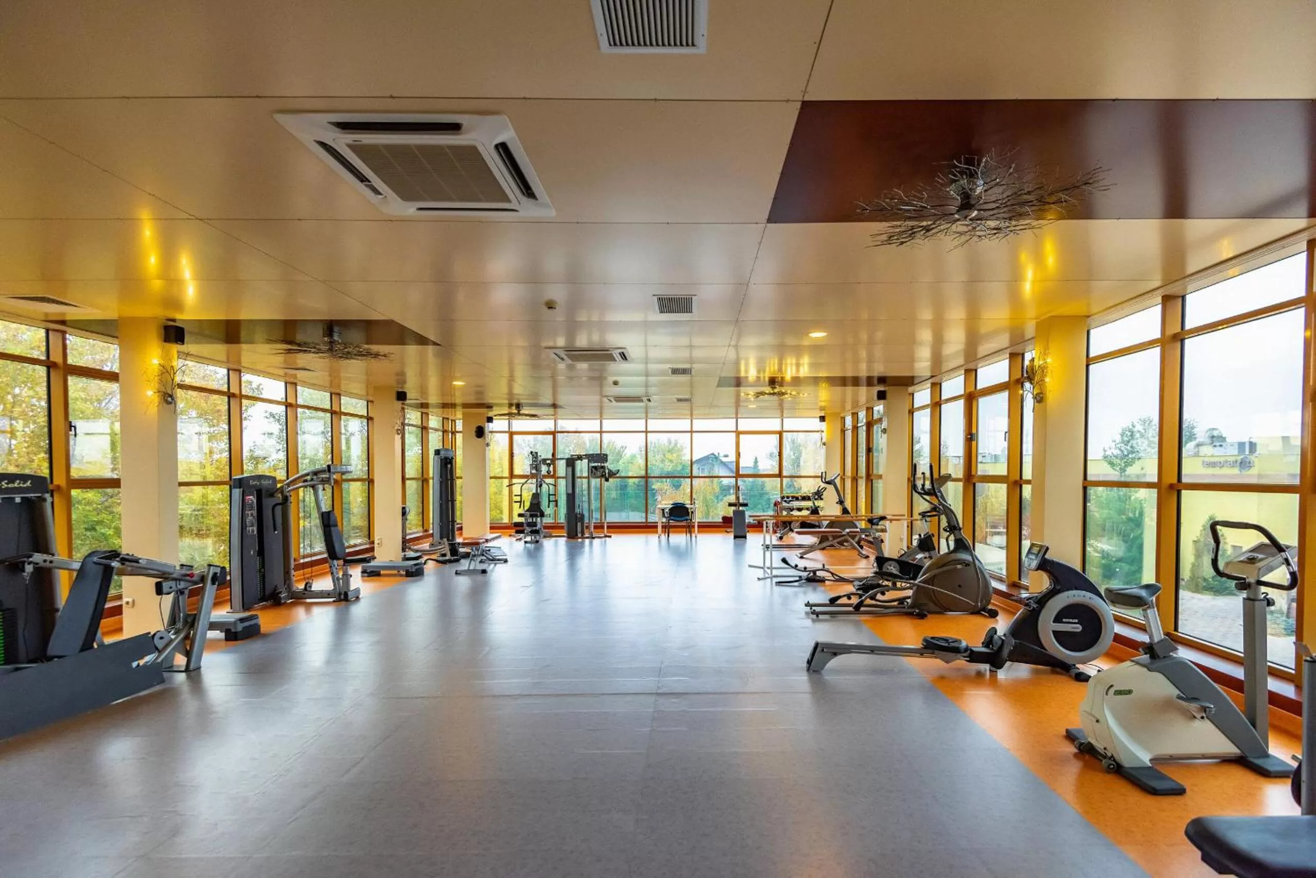 Fitness centre/facilities in Hotel Terra Balneo