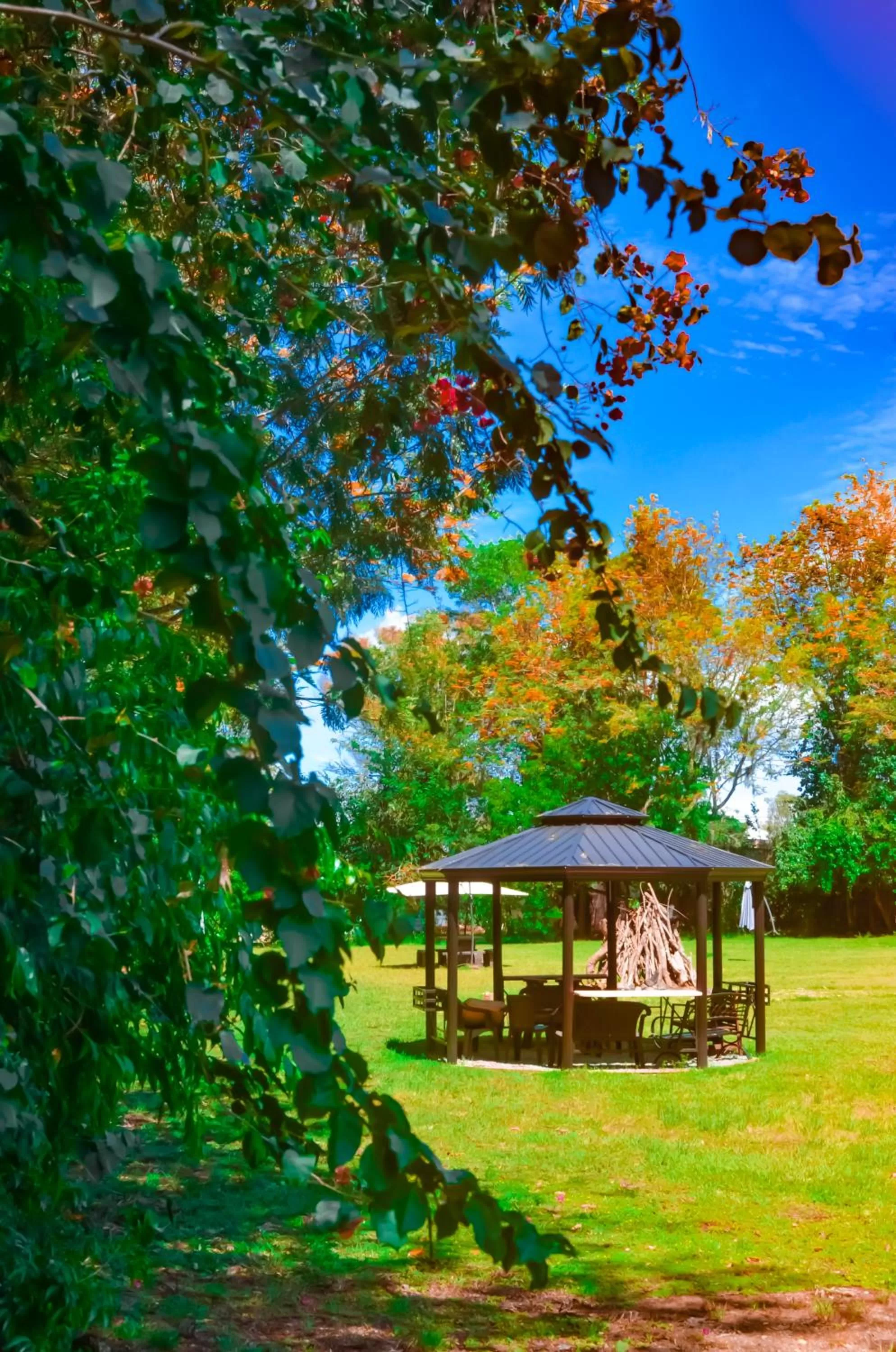 Garden in Hotel Rancho Constanza & Cabañas de la Montaña