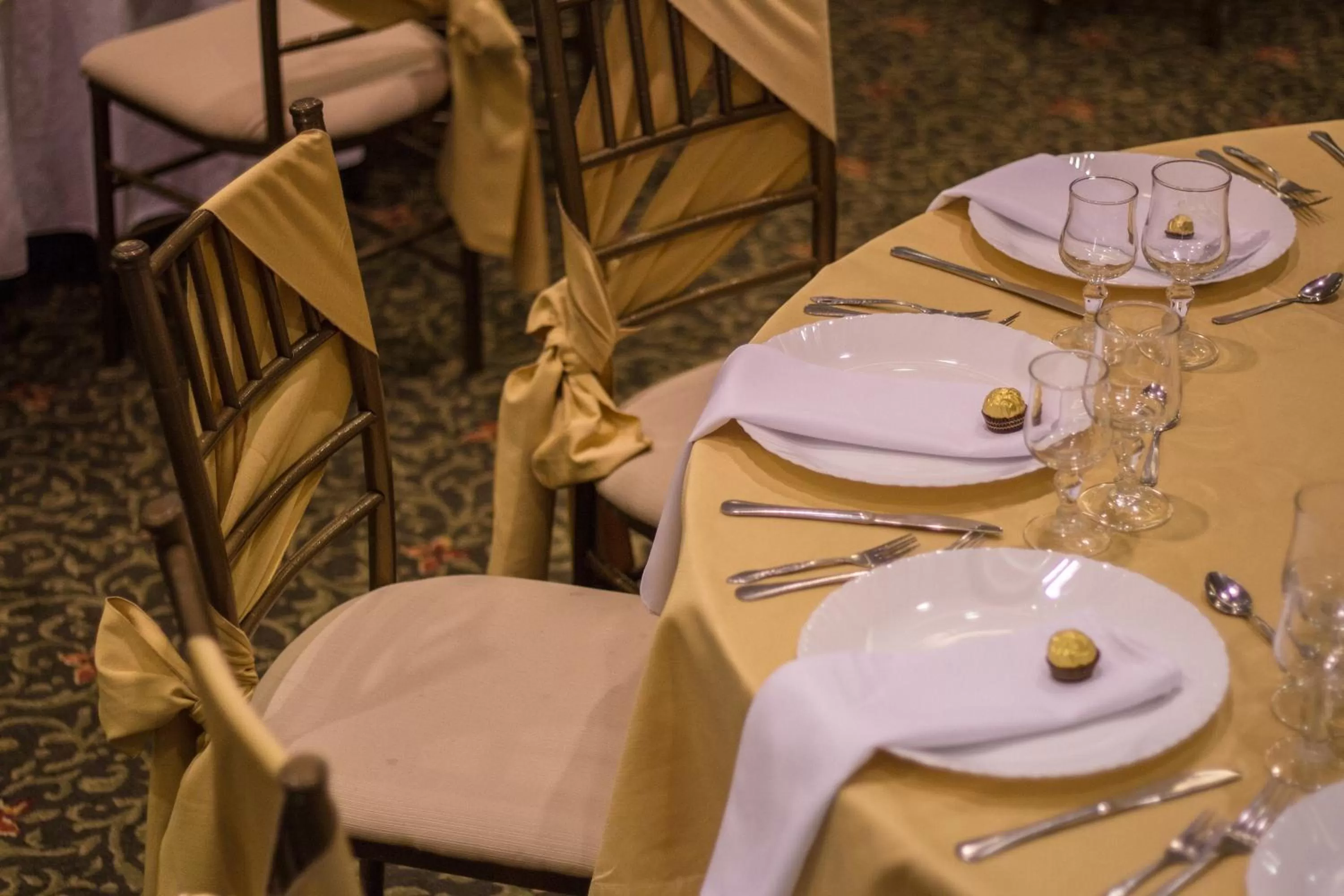 Banquet/Function facilities in Hotel Ajavi