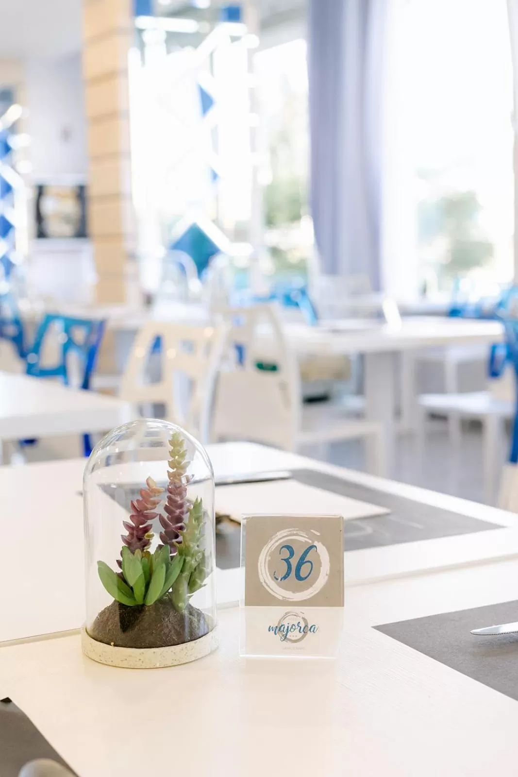 Restaurant/places to eat in Hotel Majorca