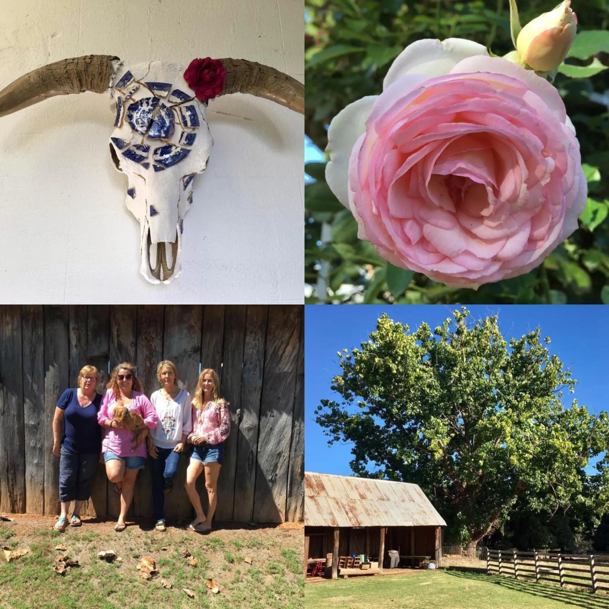 On site in Dingup House