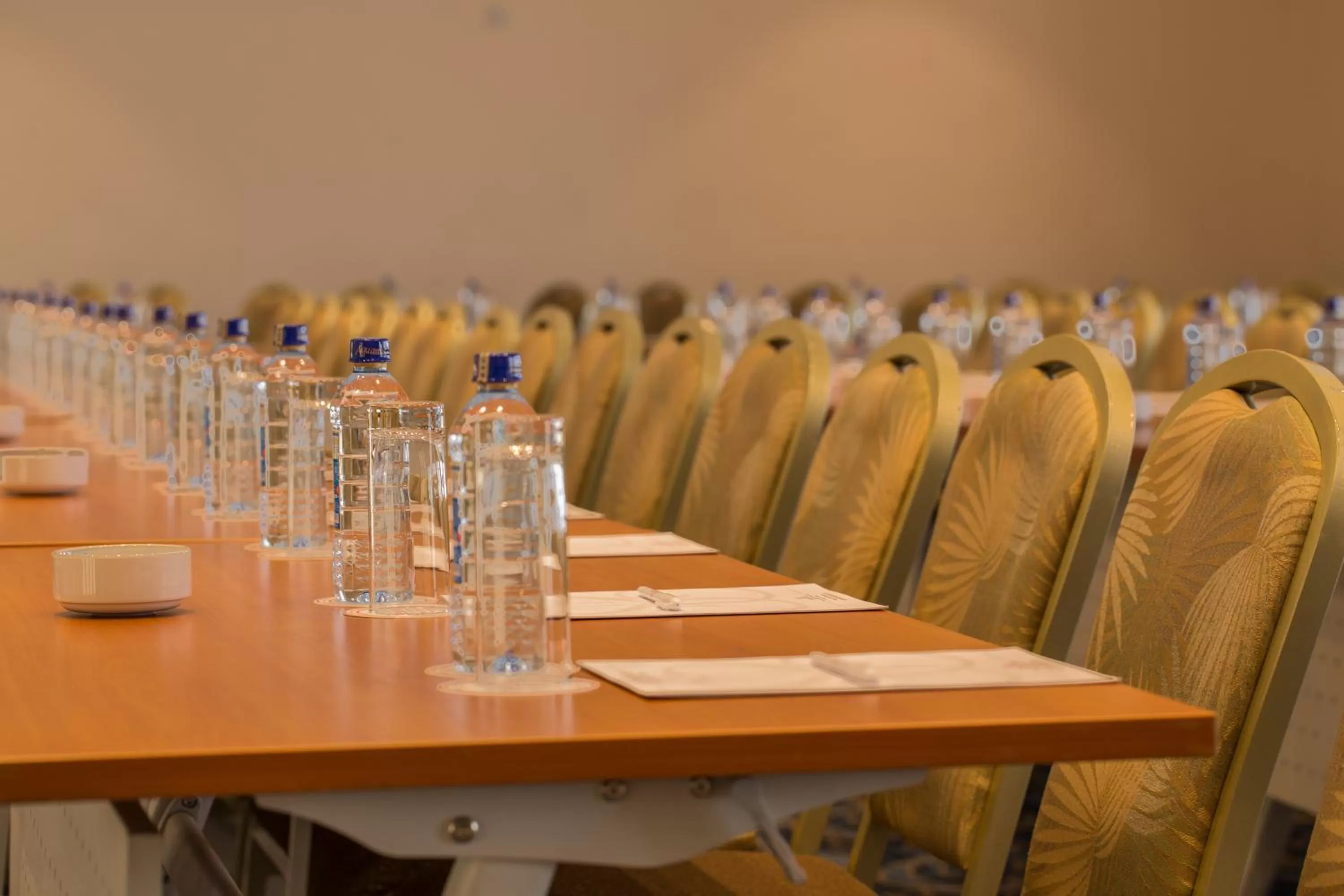 Meeting/conference room in Sarova Woodlands Hotel and Spa
