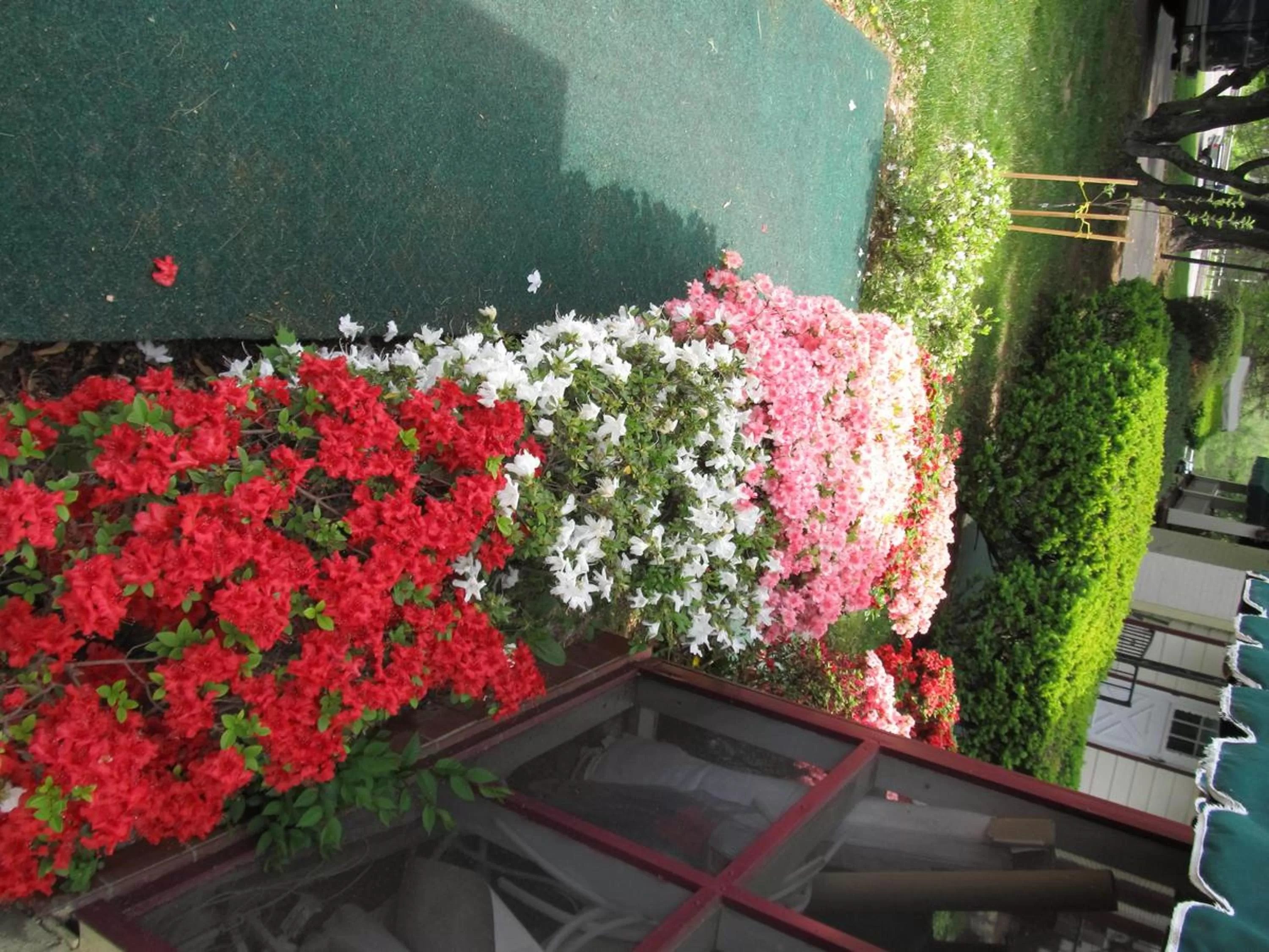 Other in Hancock Motel