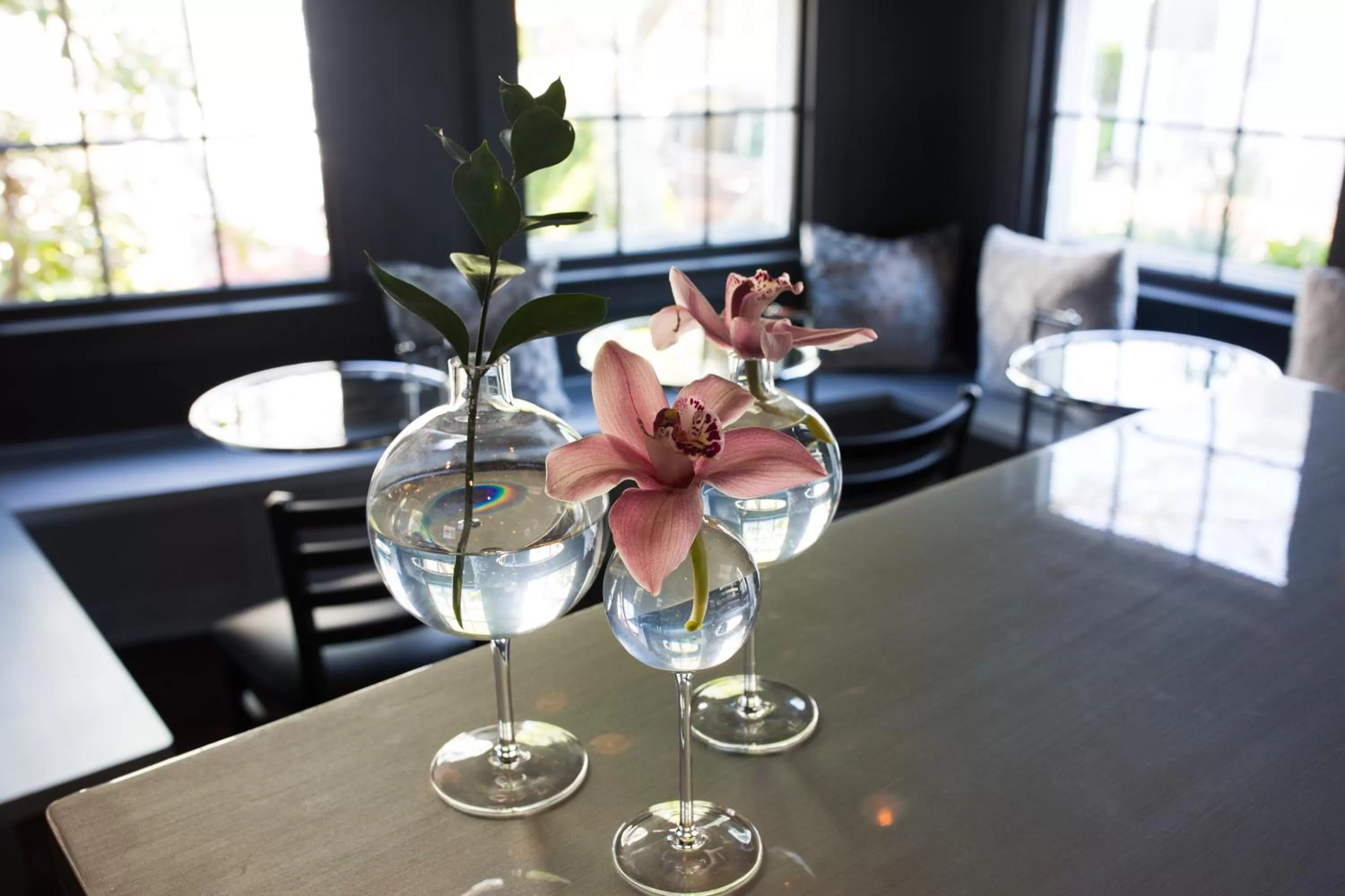 Restaurant/Places to Eat in Hotel Pippa