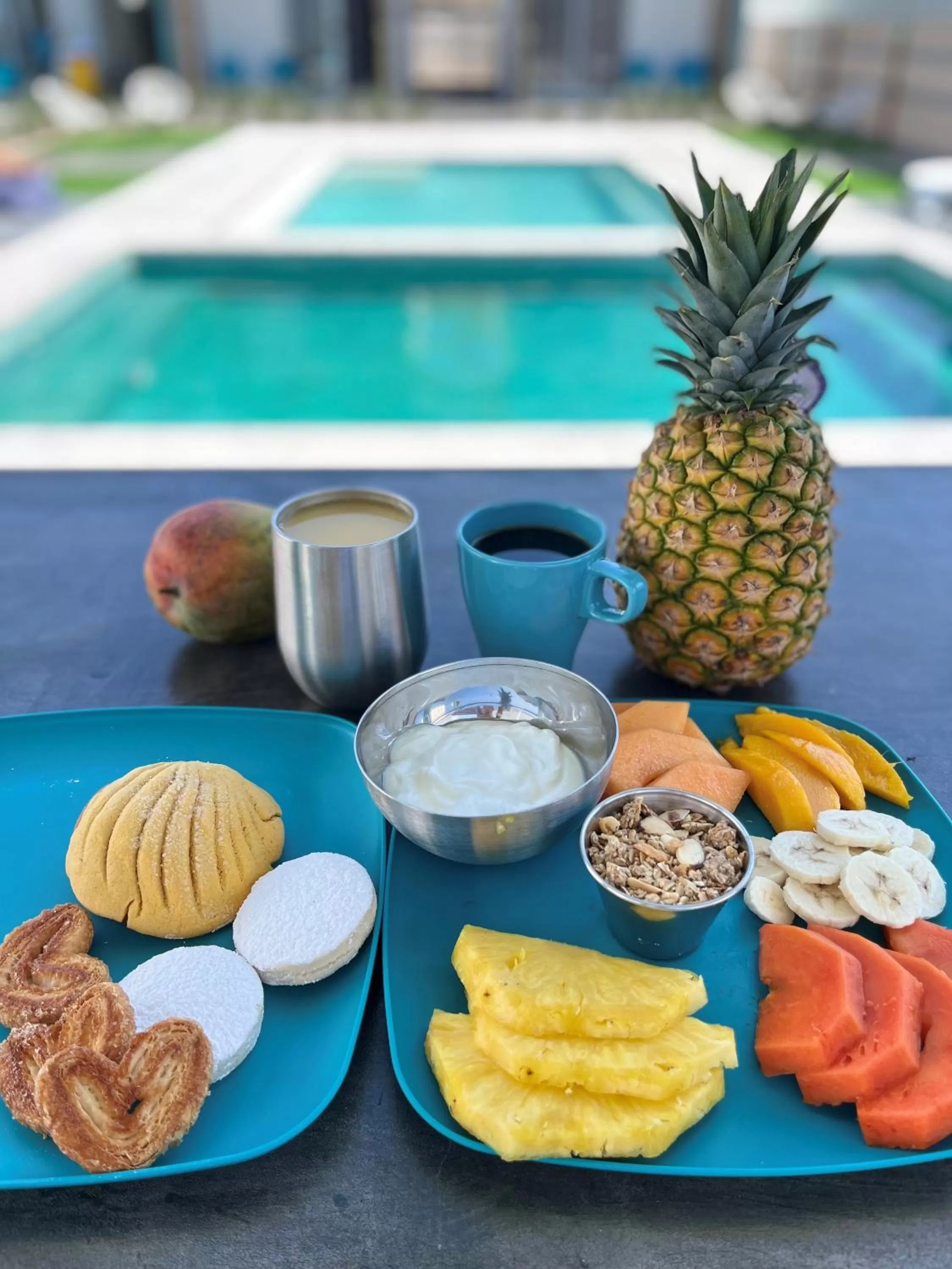 Lounge or bar in The Cove Boutique Hotel Adults Only