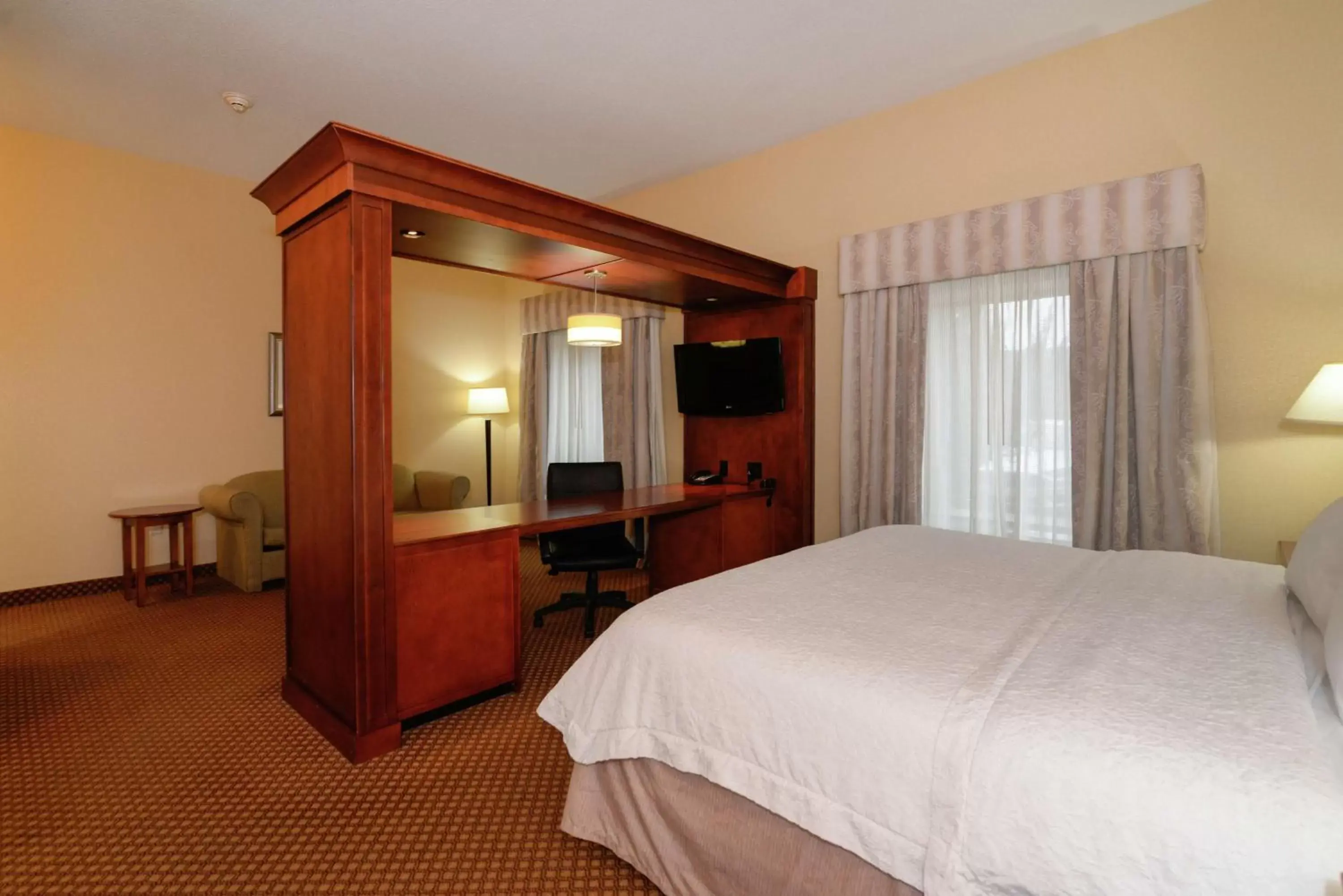 King Studio in Hampton Inn & Suites Detroit/Chesterfield King Studio in Hampton Inn & Suites Detroit/Chesterfield