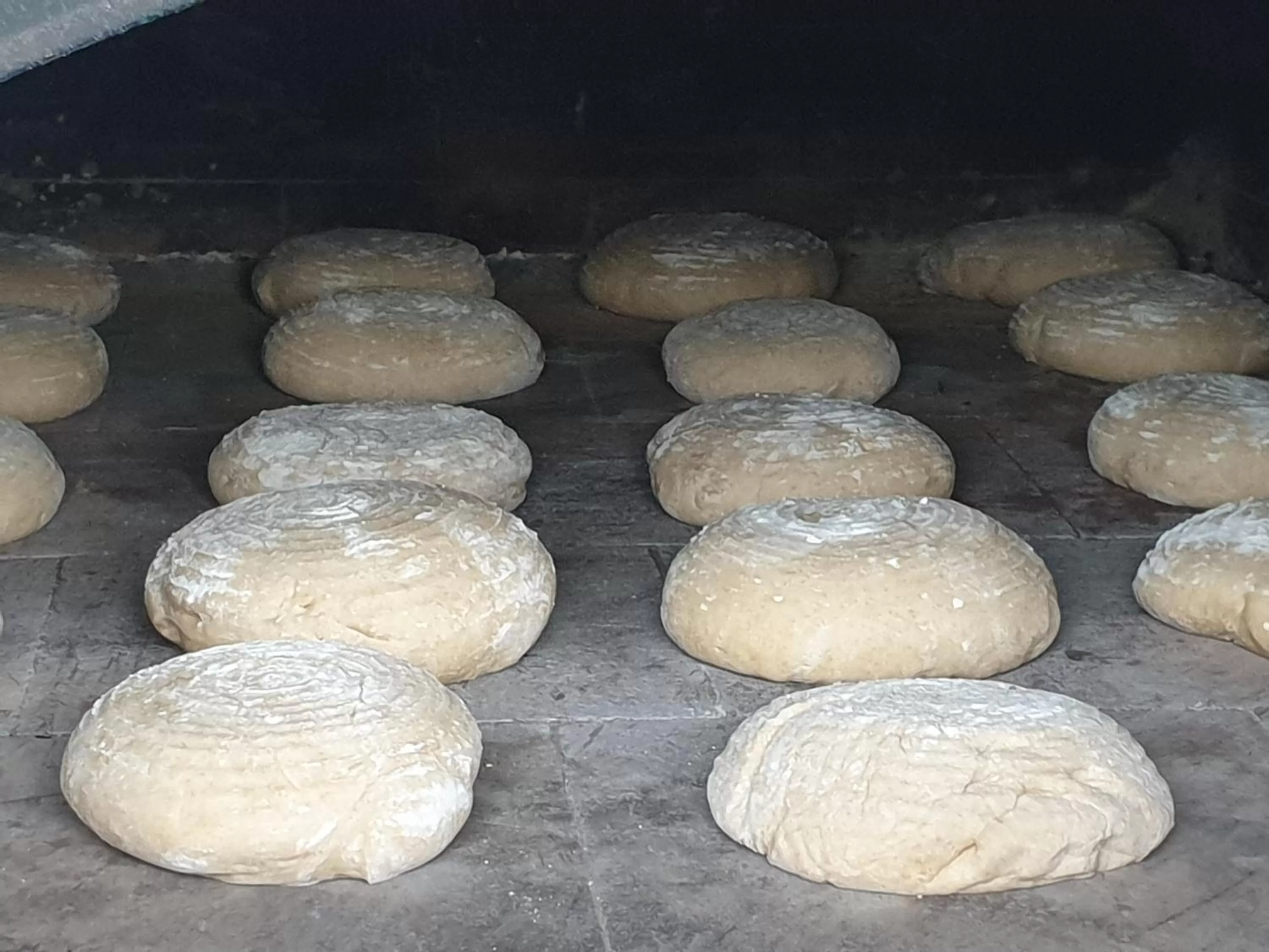 Activities in Silberkönig Schwarzwald Hotel & Restaurant Ringhotel