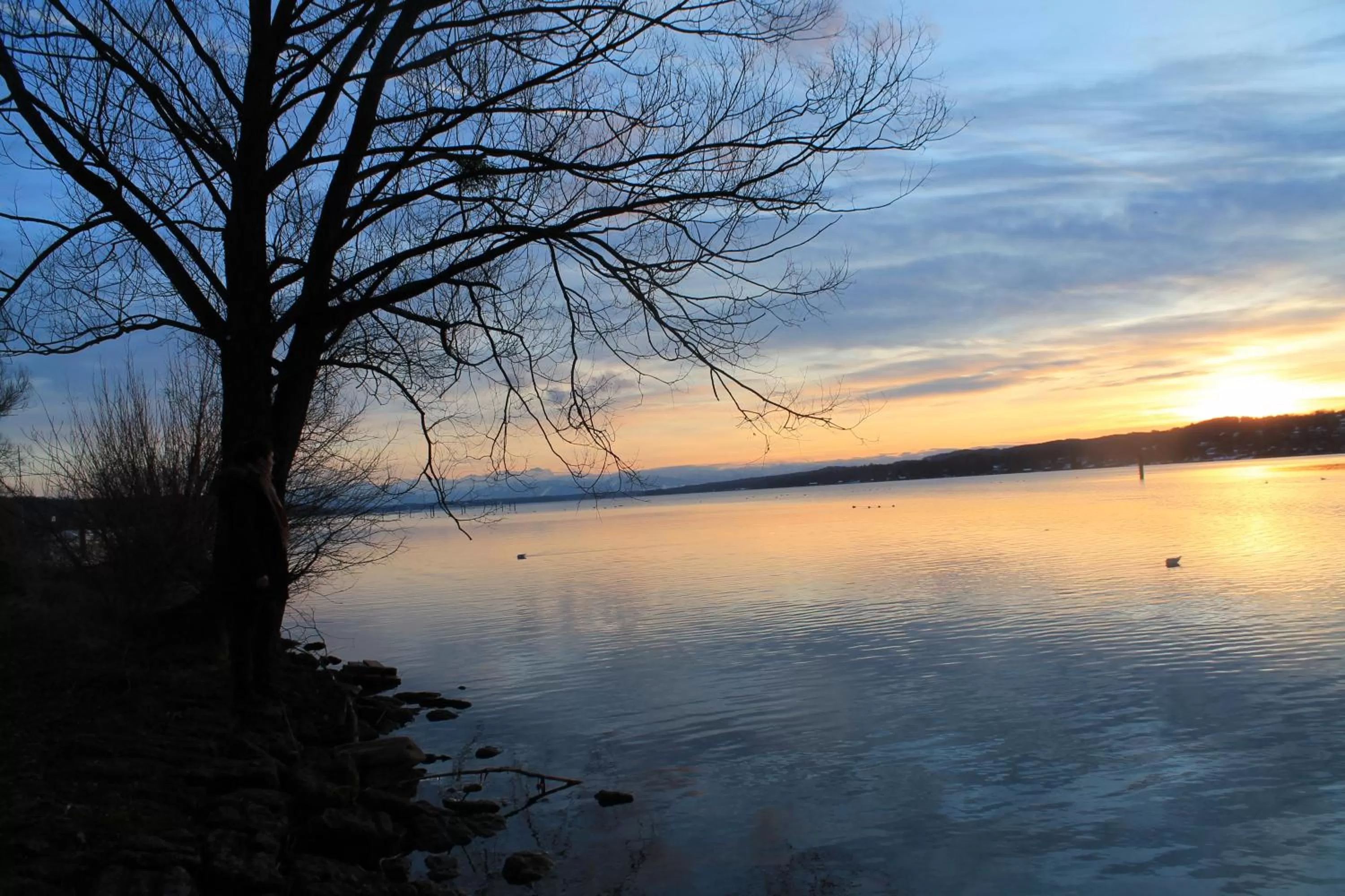 Natural landscape in Gasthaus Steidl