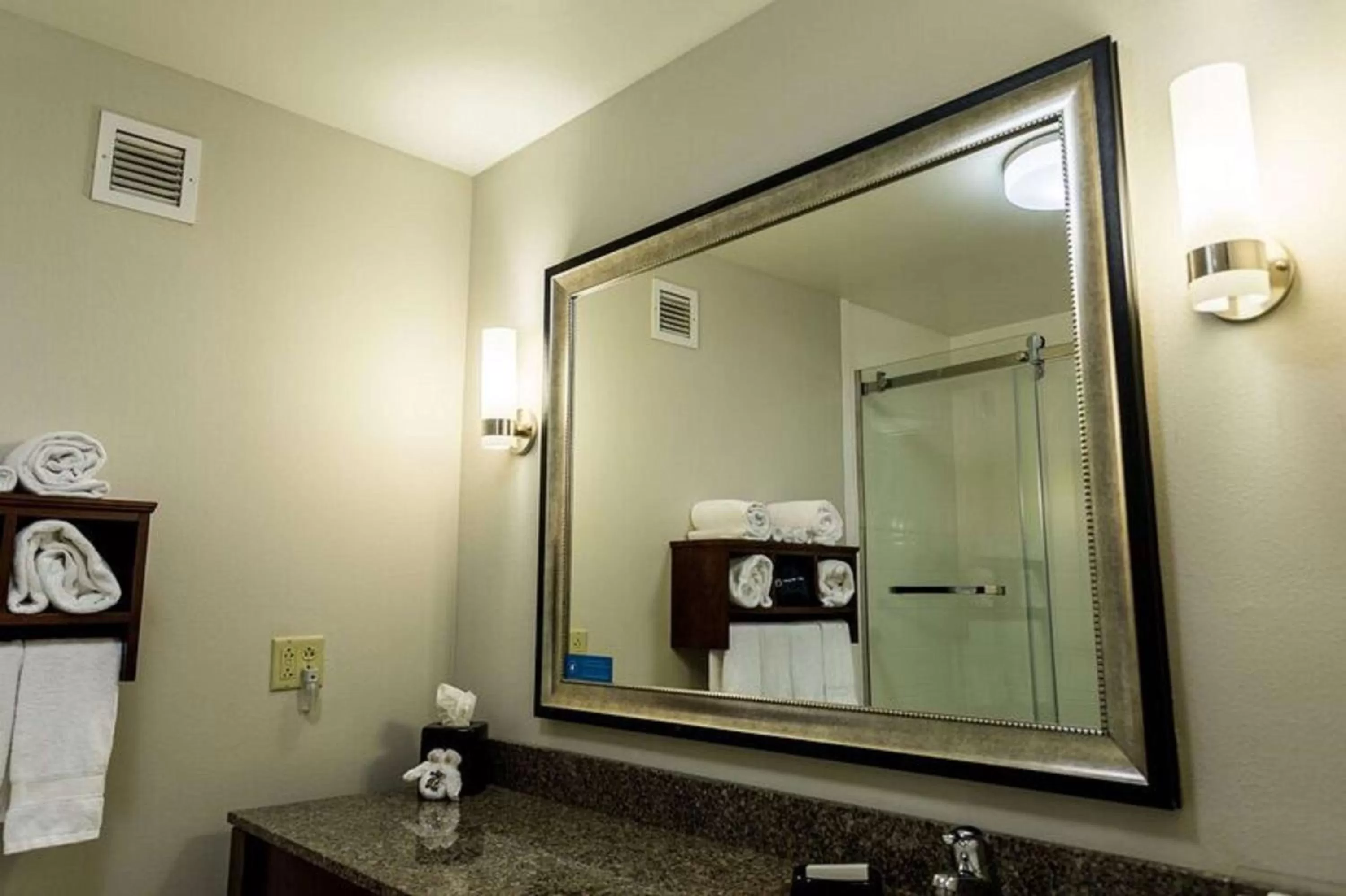 Bathroom in Hampton Inn Somerset